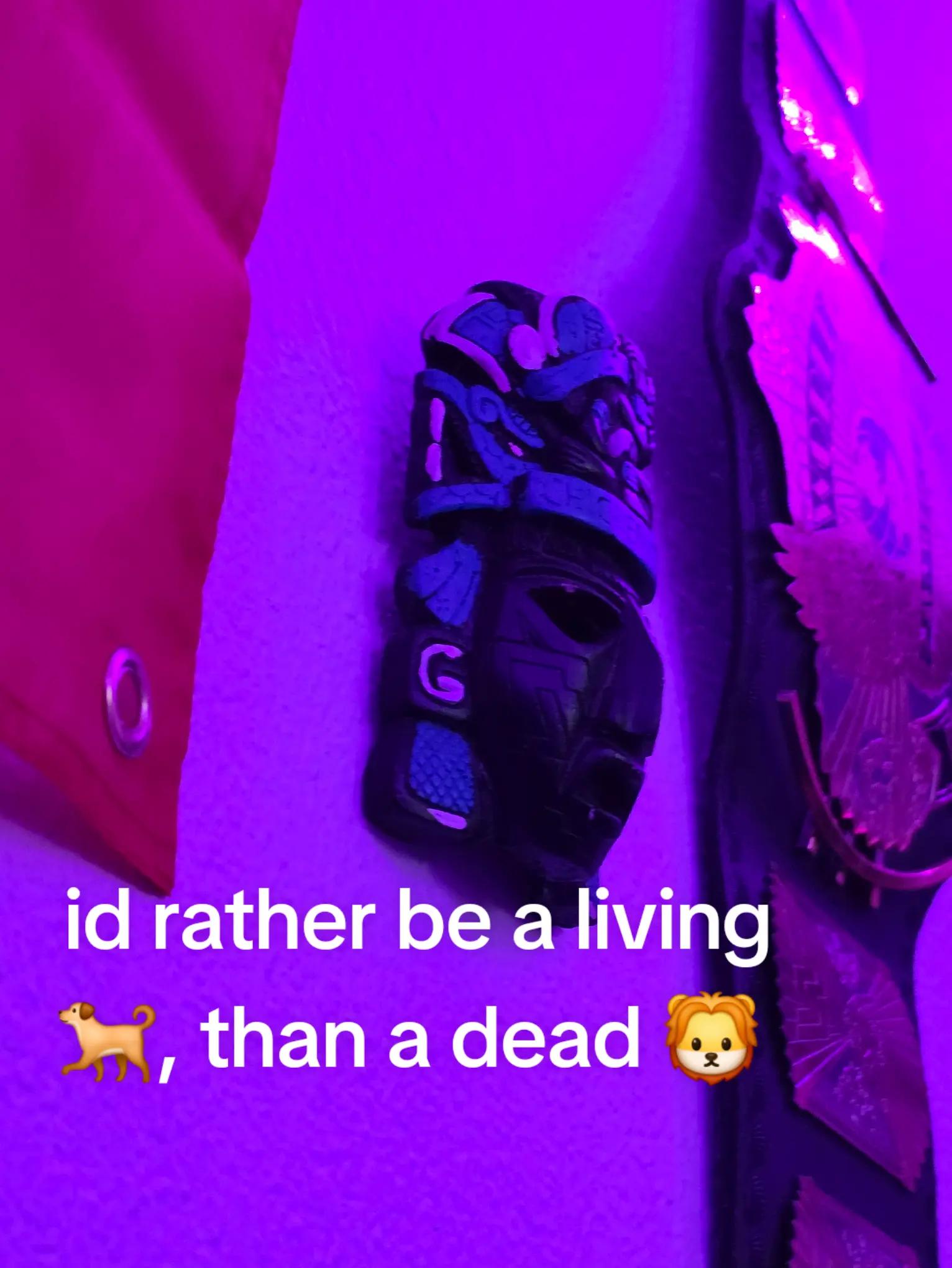 @👑 🎭 La_cura☦️🇺🇸 🇲🇽