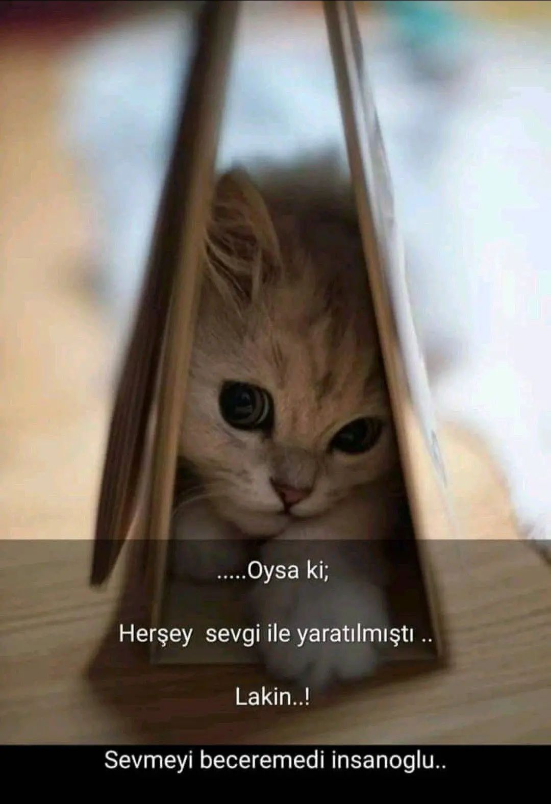 @Yorgun_01