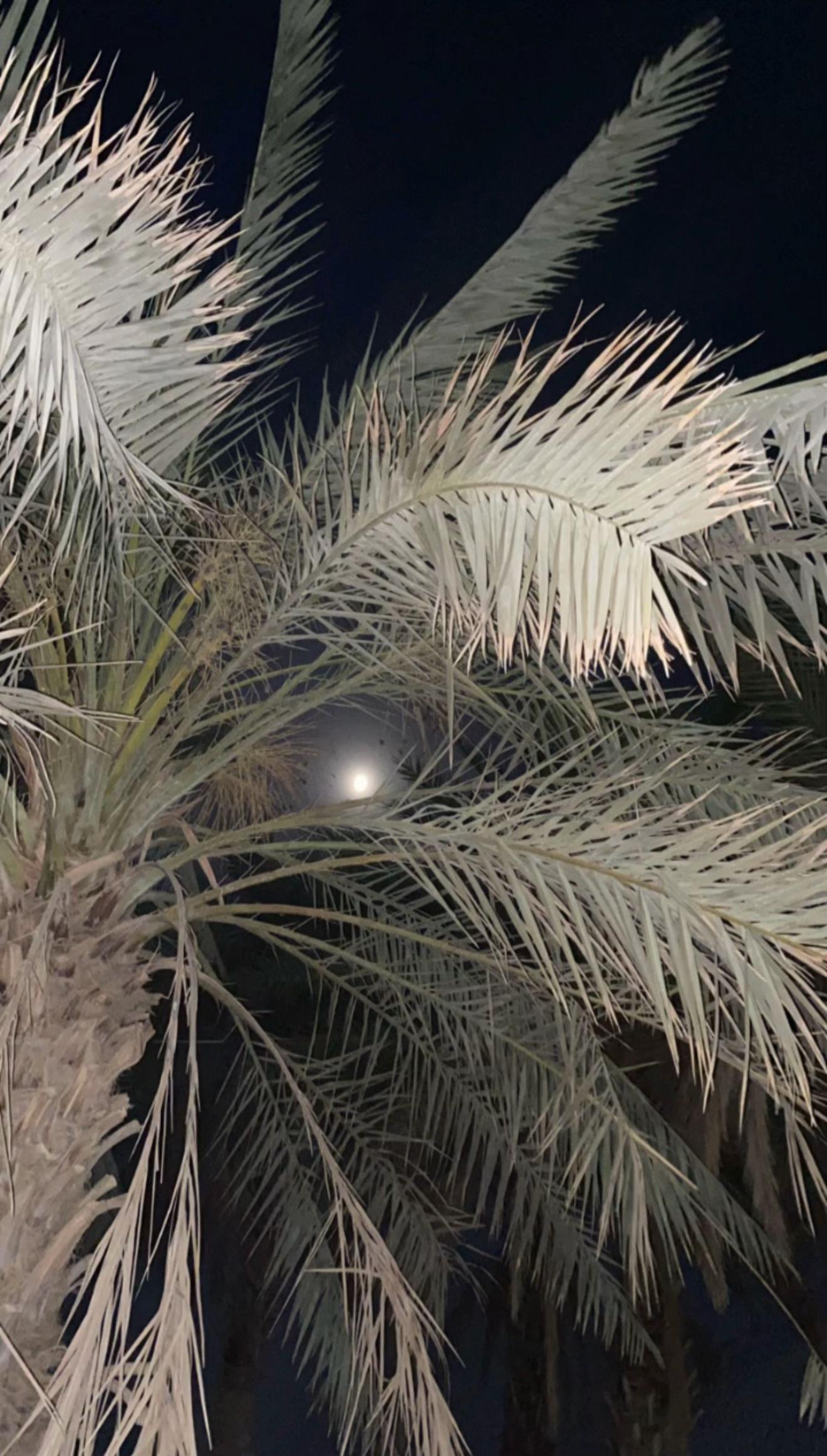 @Dawood._.khalid