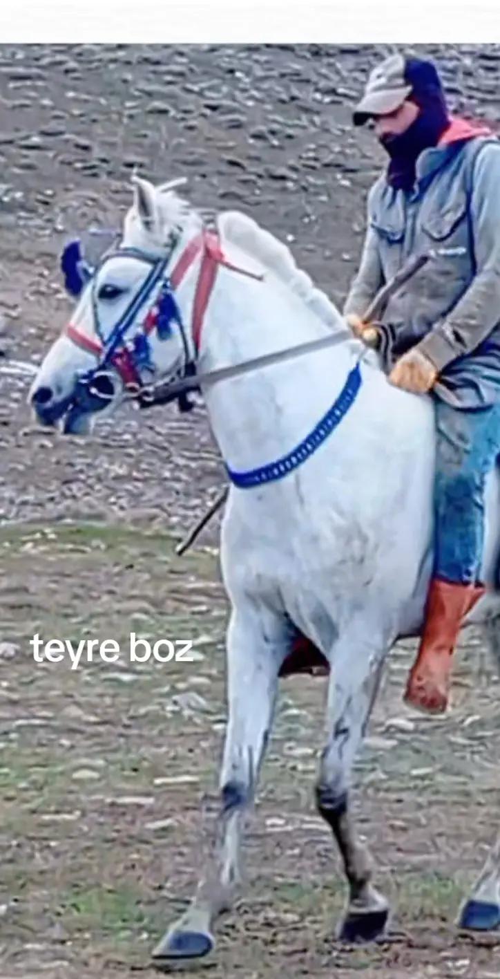 @&ccedil;atlı şaho