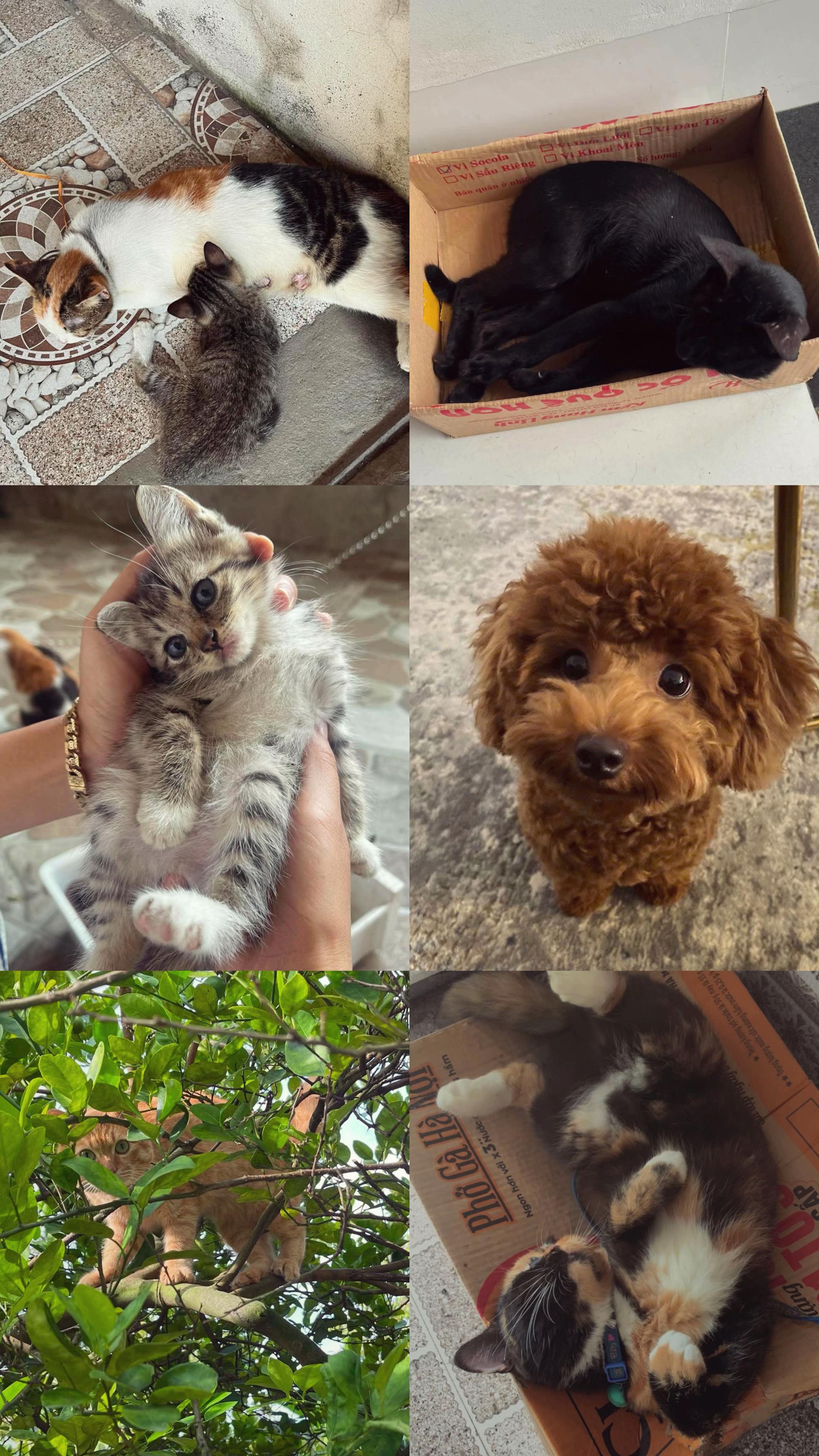 @Tắm mưa trời nắng