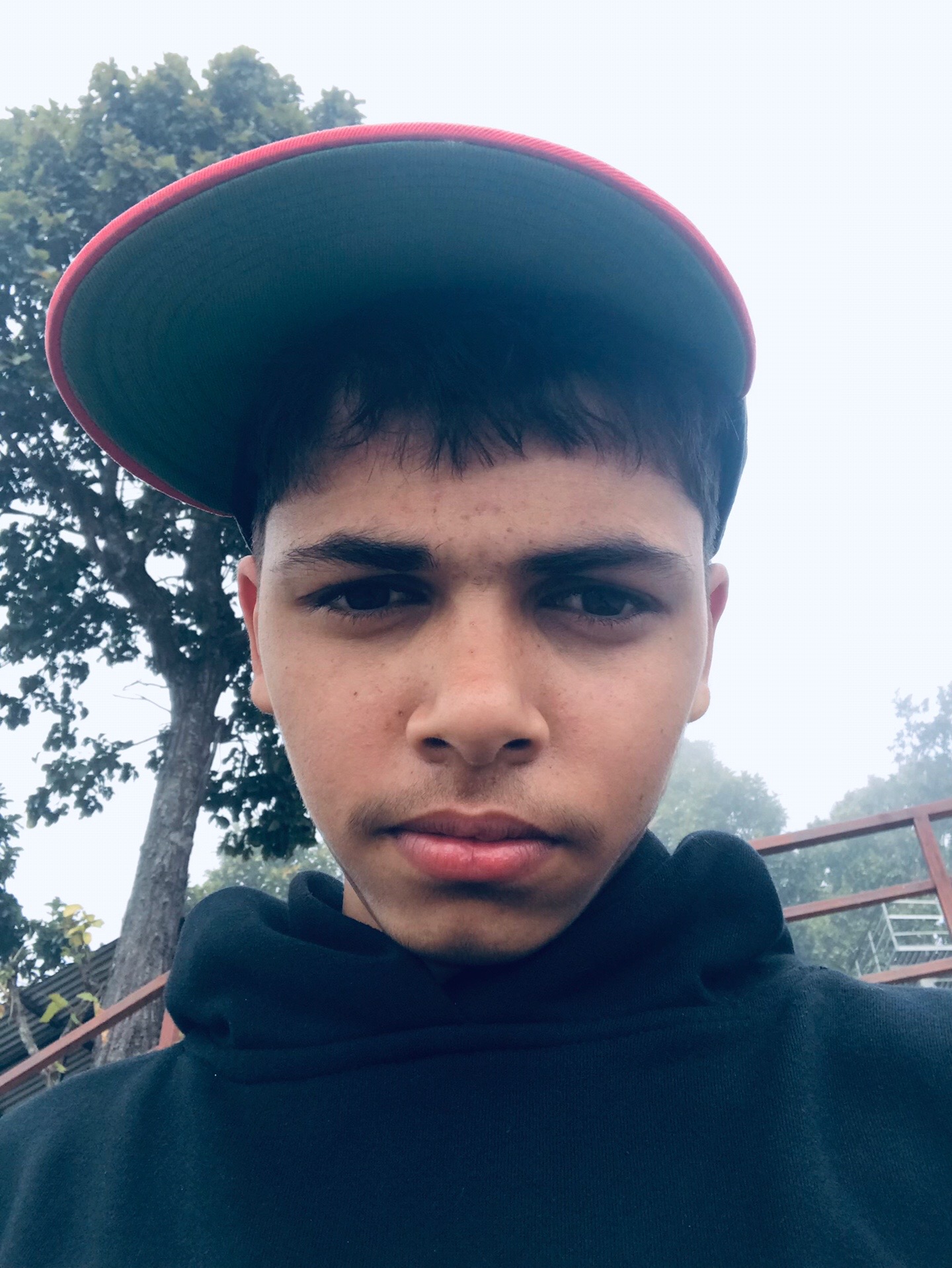 @dips0n19
