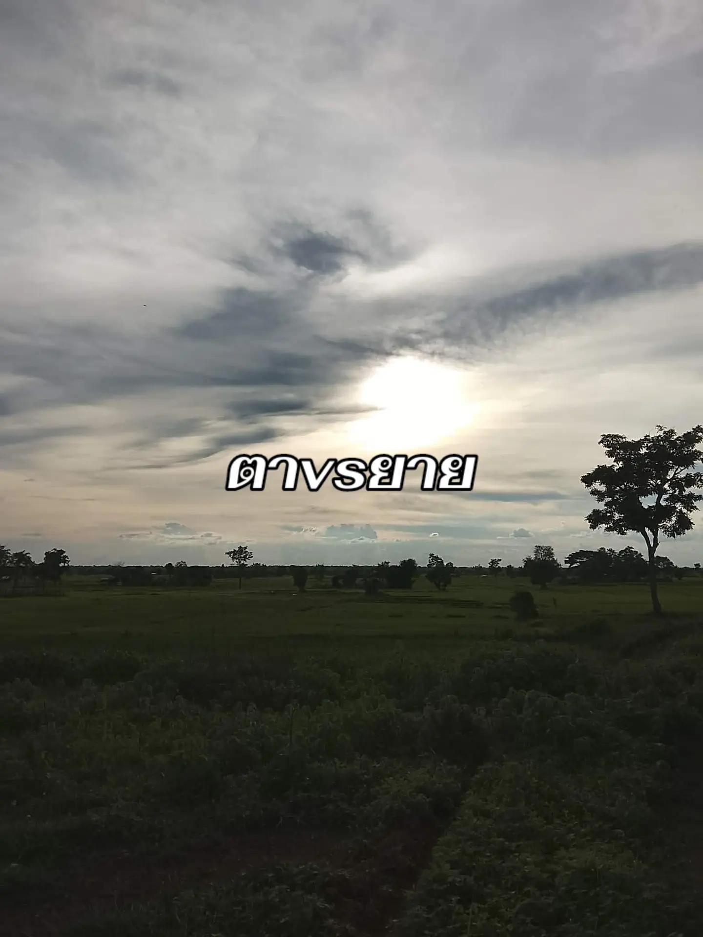 @MEI (ᵔᴥᵔ)