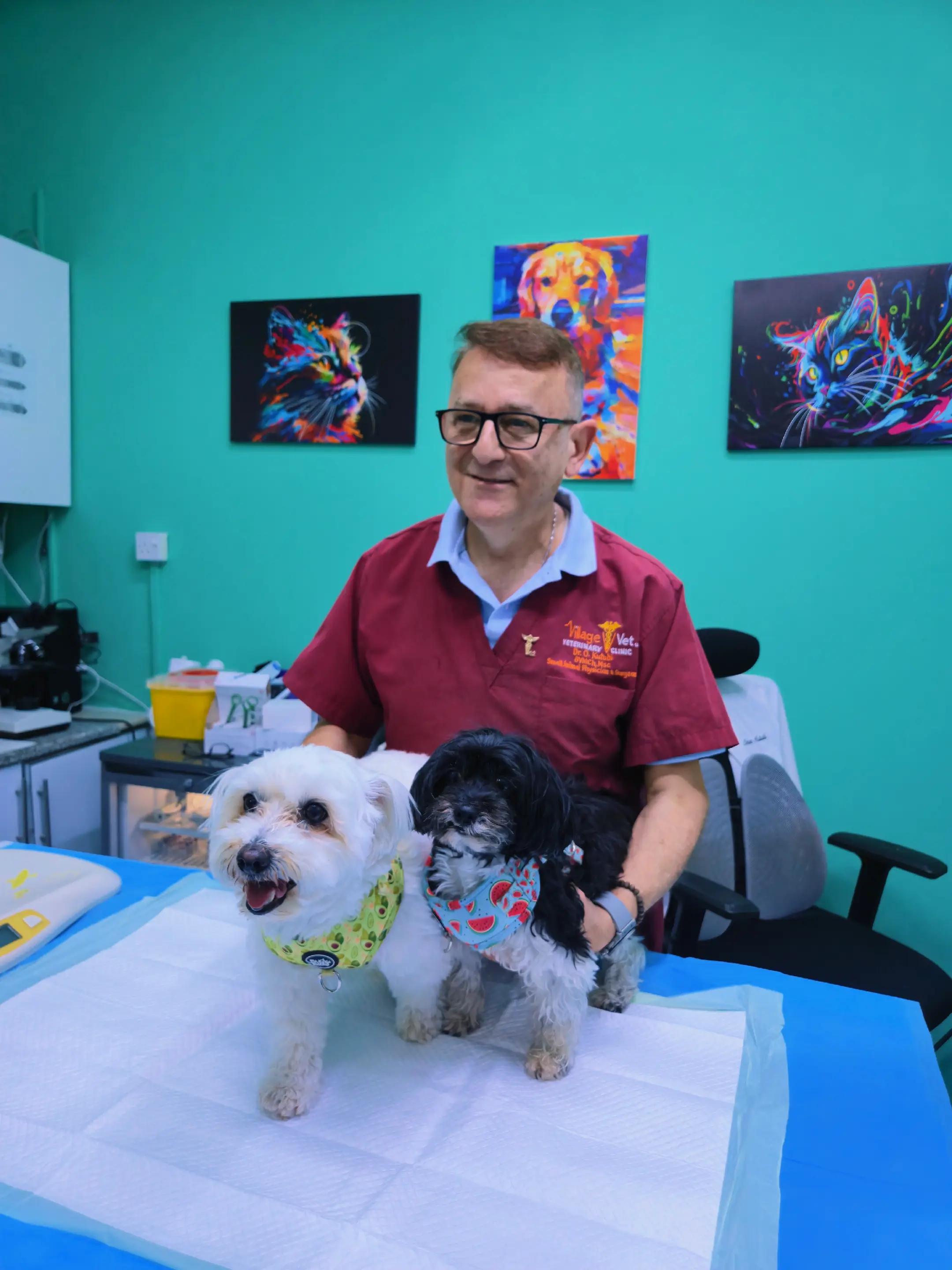 @VillagevVet LLC
