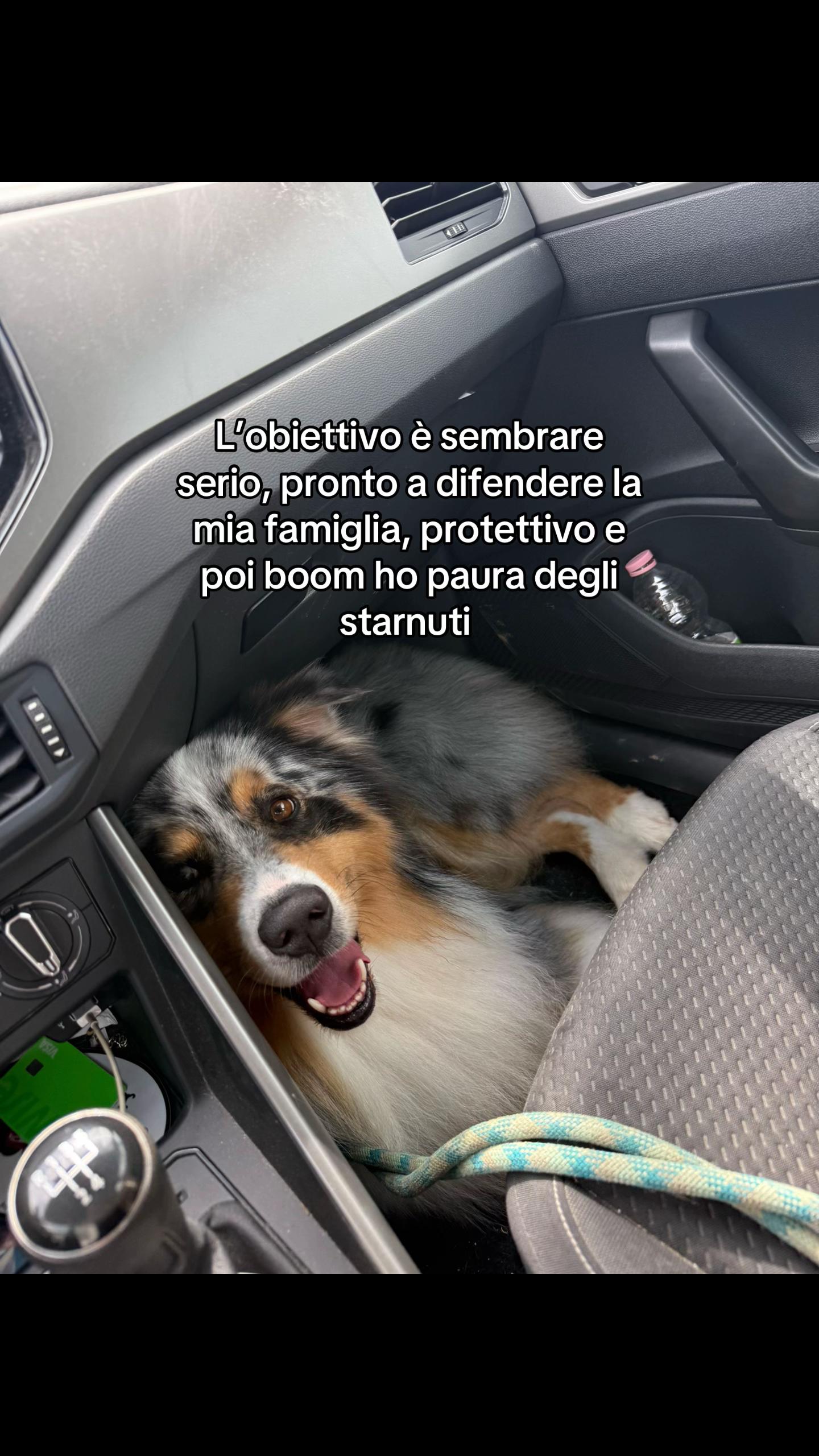 @Martina