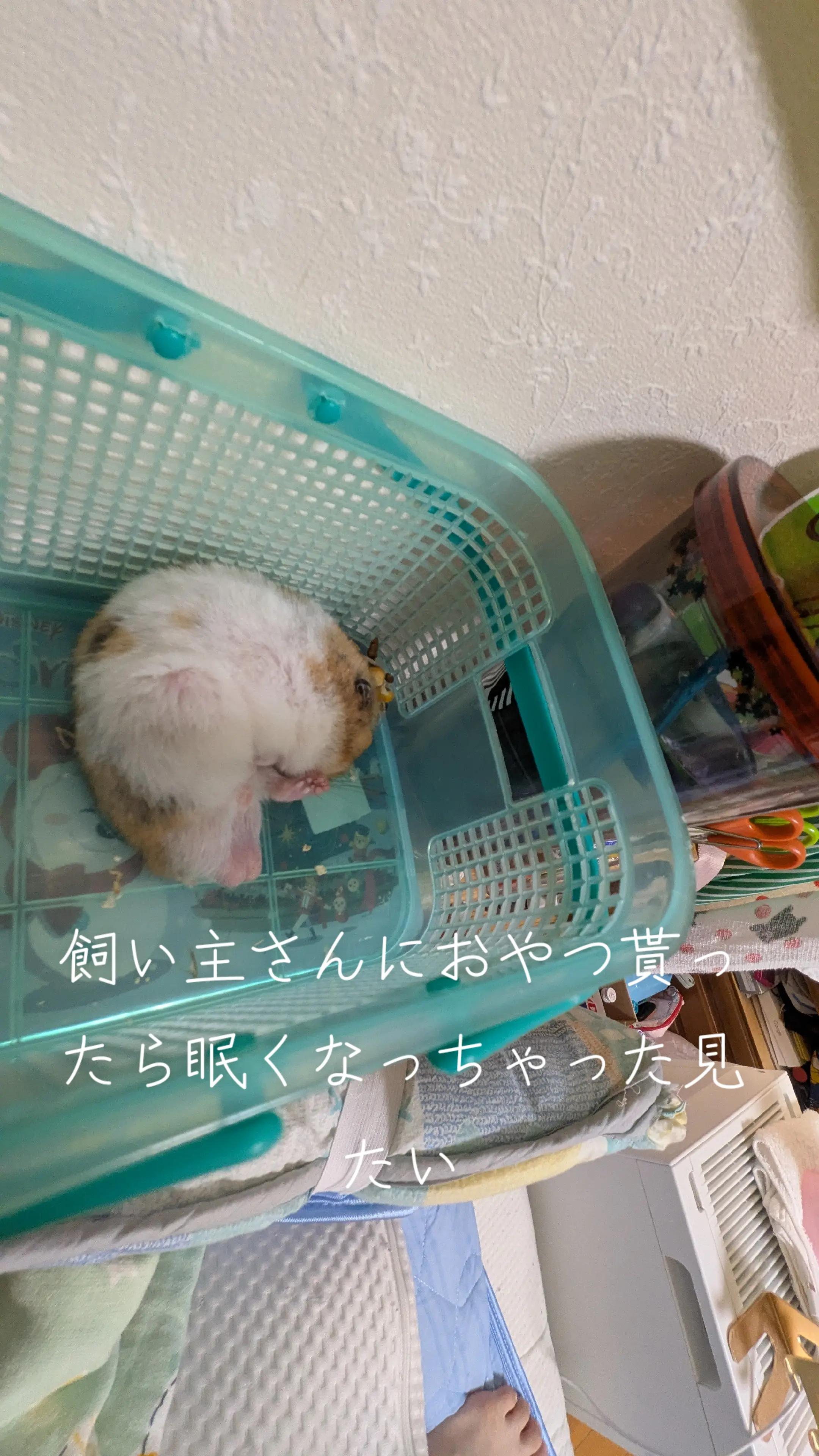 @๐นใใใก๐น