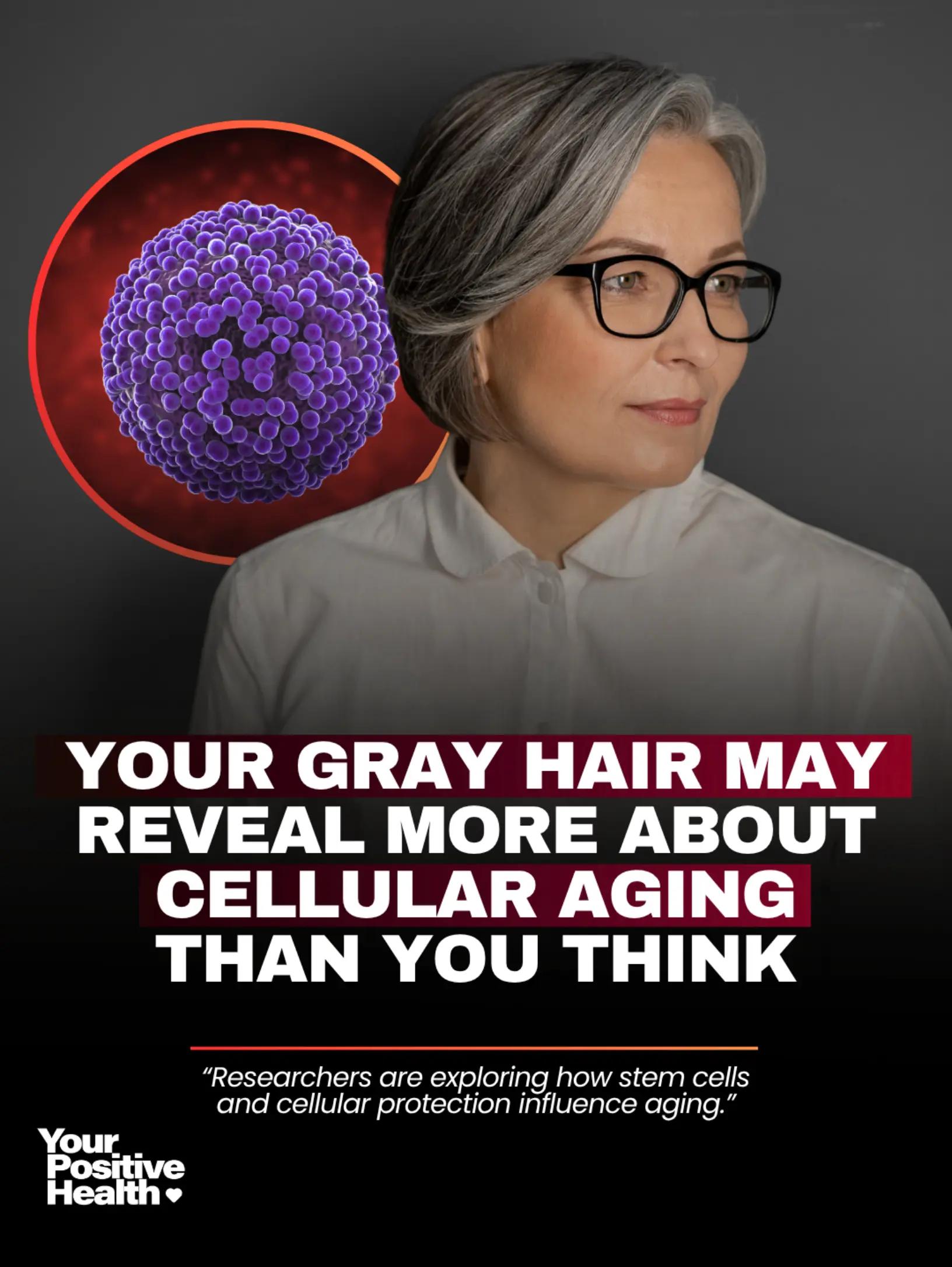 @Your Positive Health
