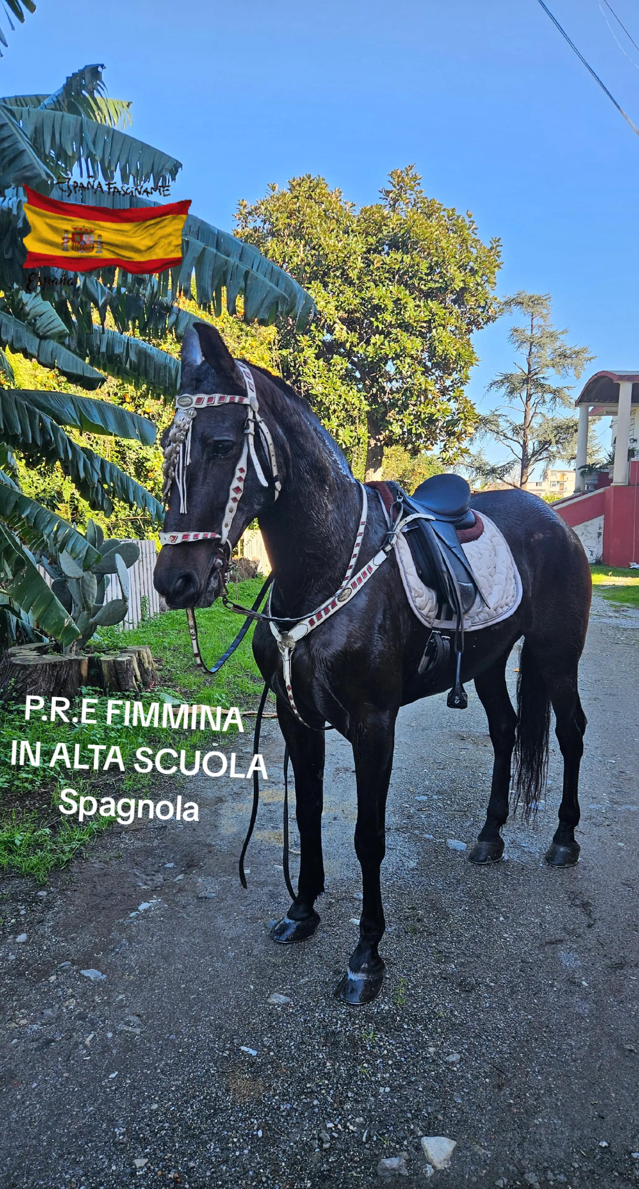 @Giuseppe