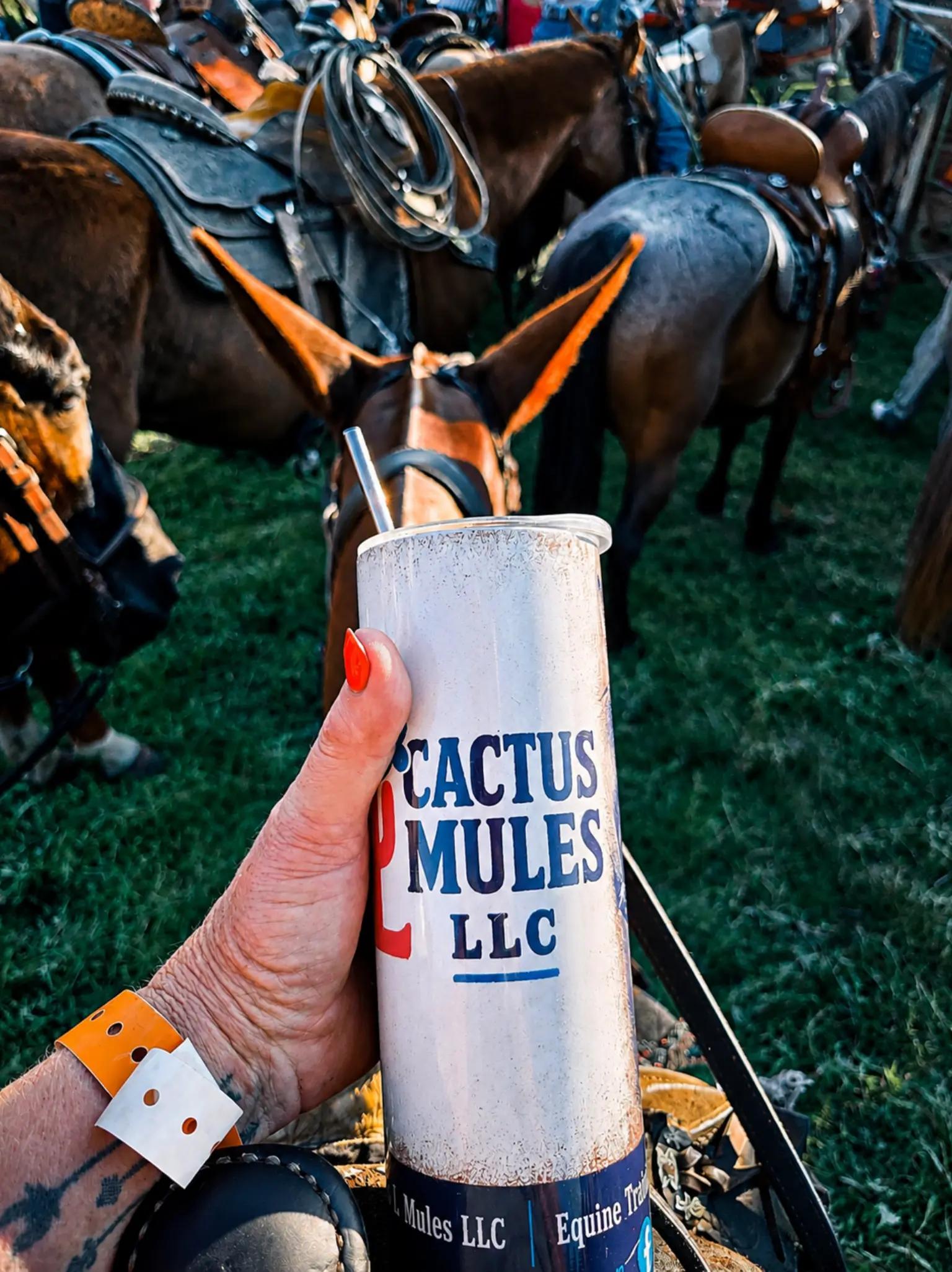@CactusLMules