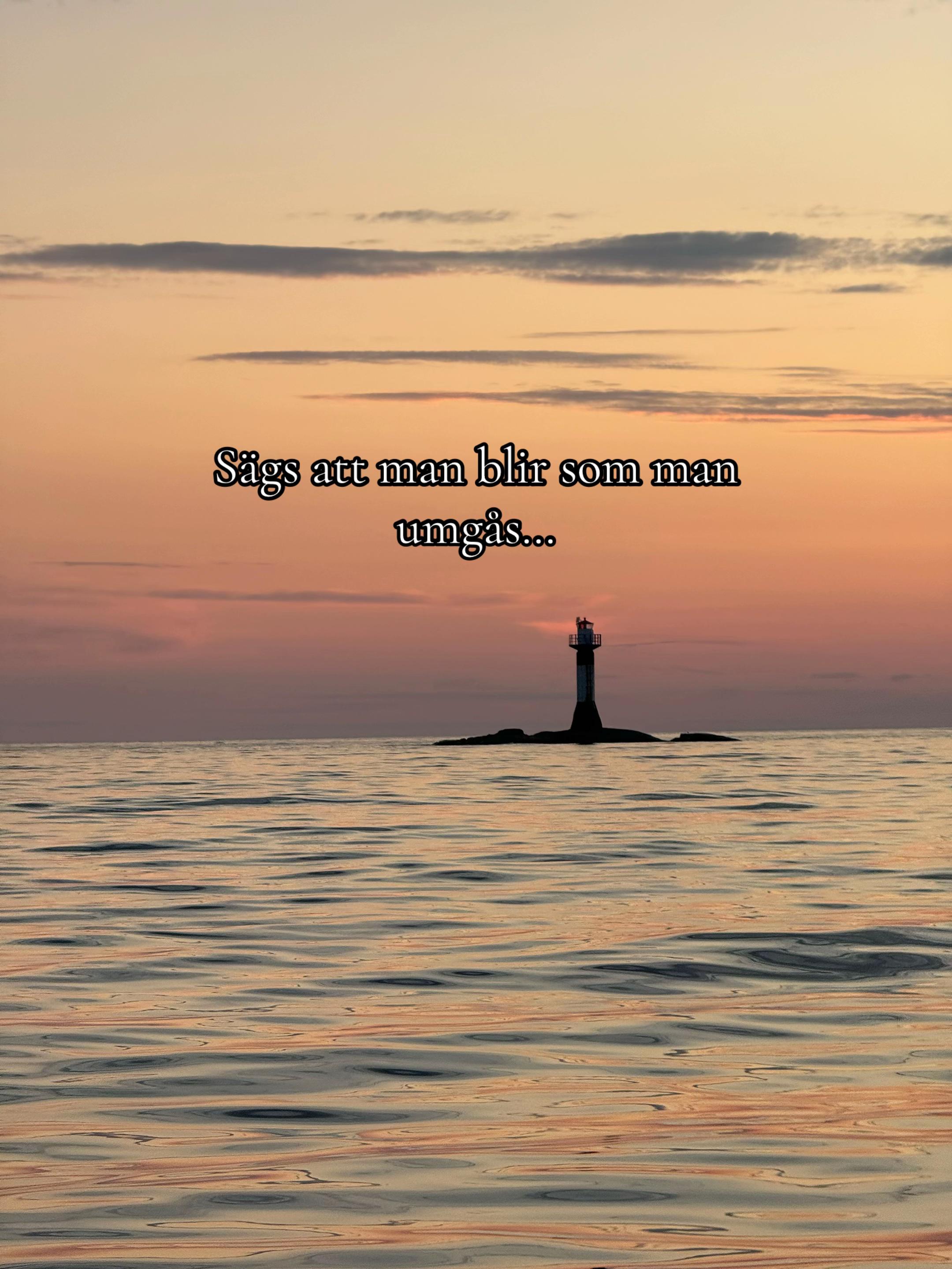 @Maja Gustafsson