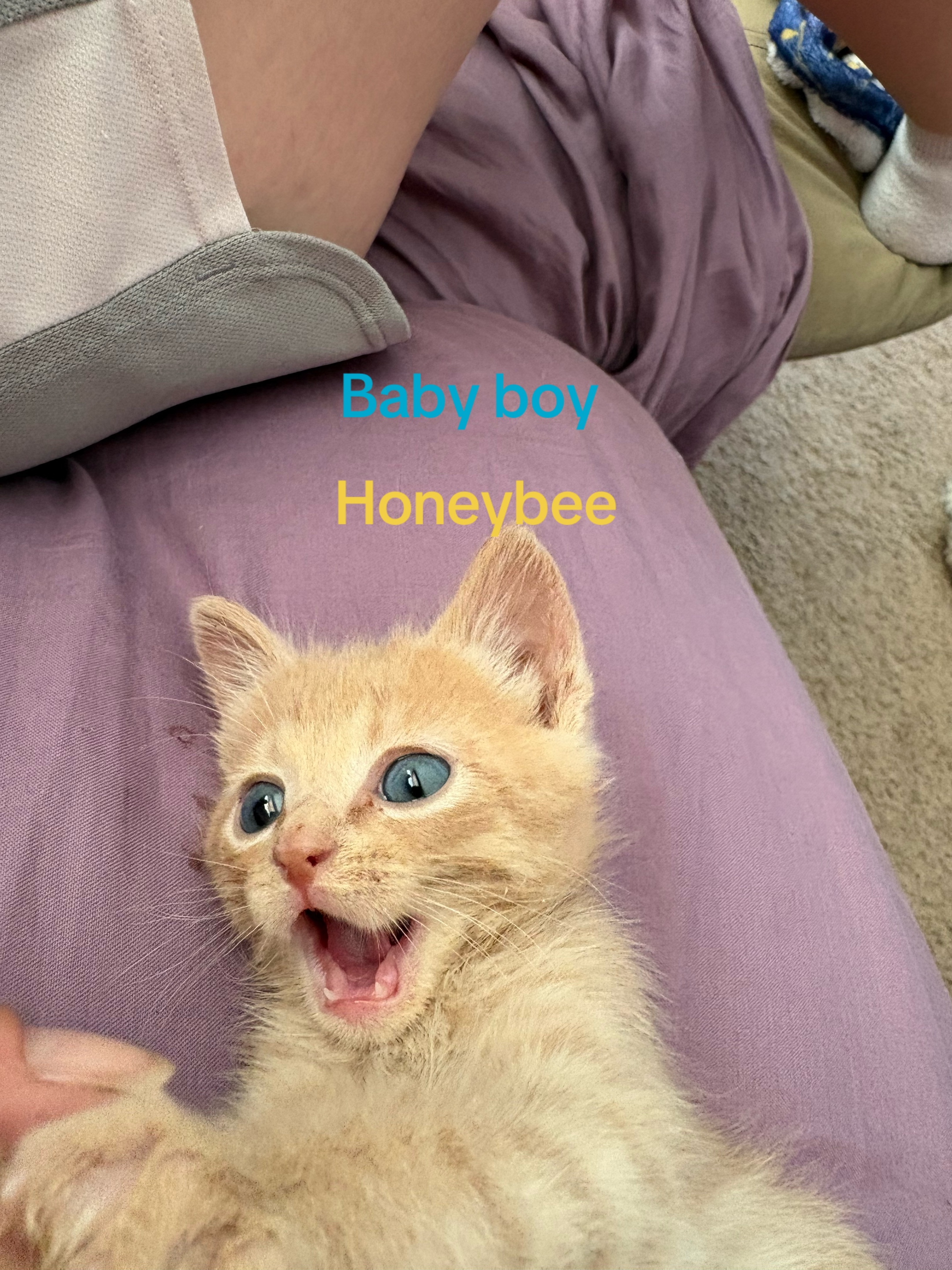 @Secret 🤫🤐