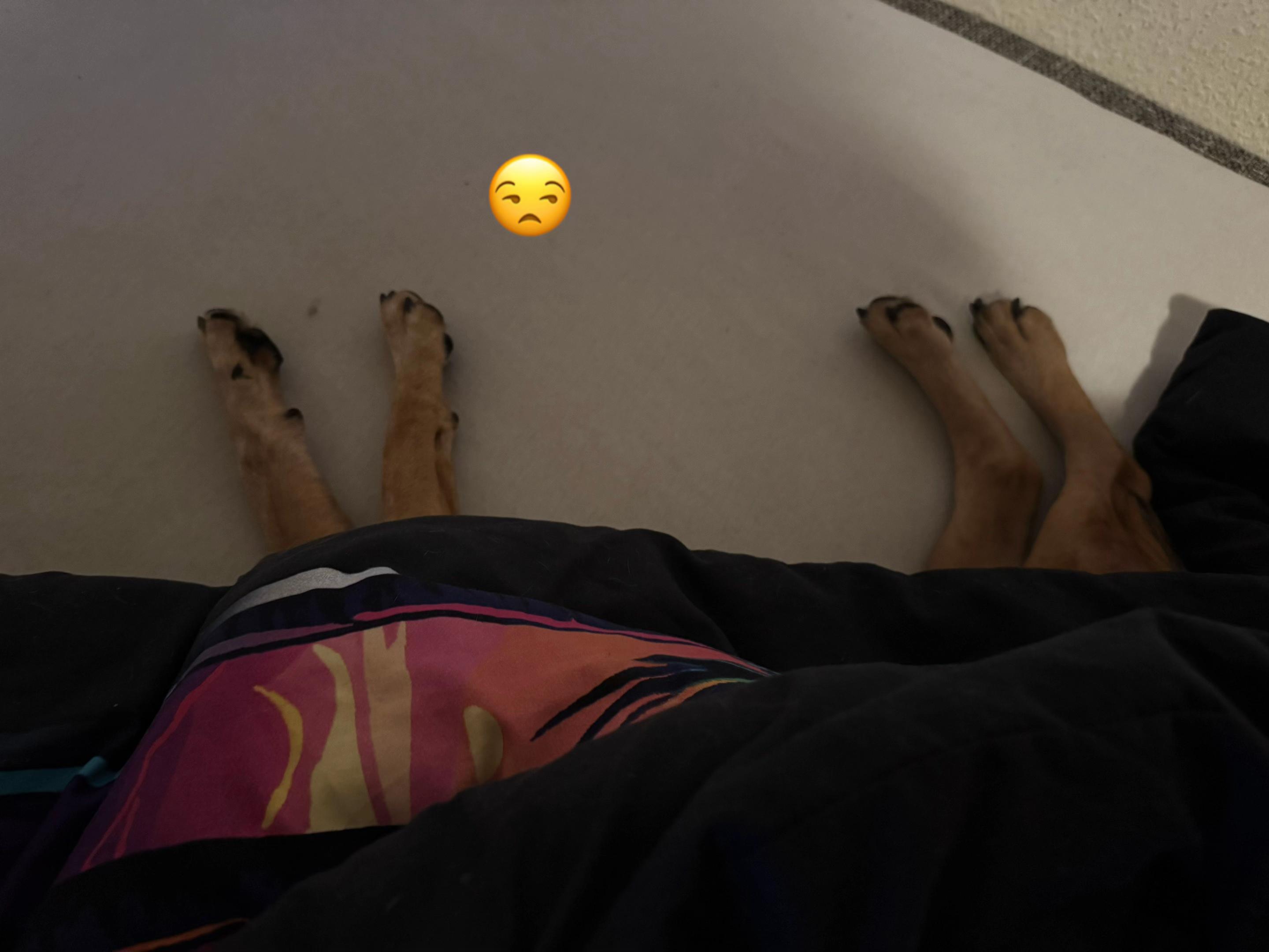 @PizzaFreaK