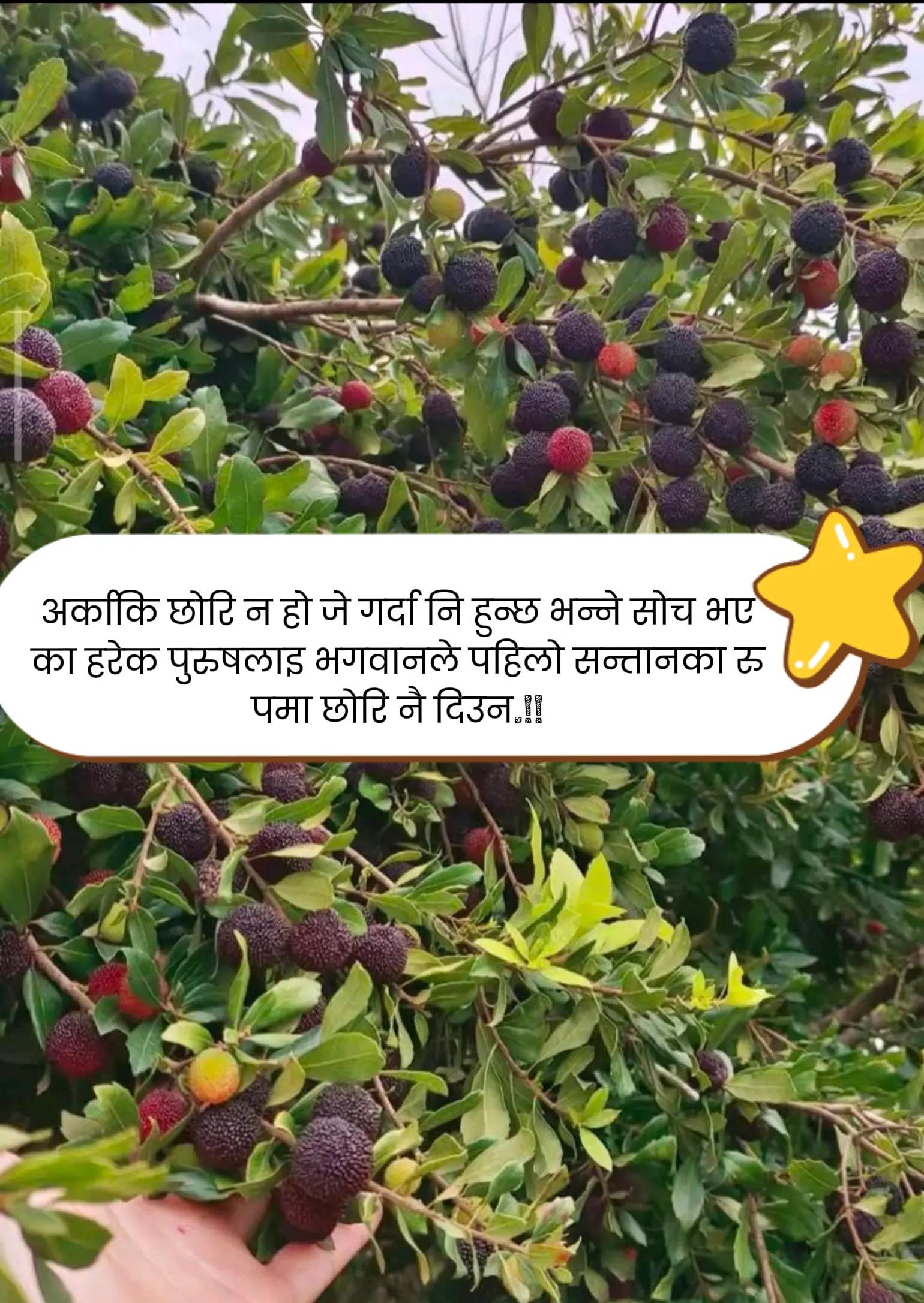 @Mr_SHA₹MA