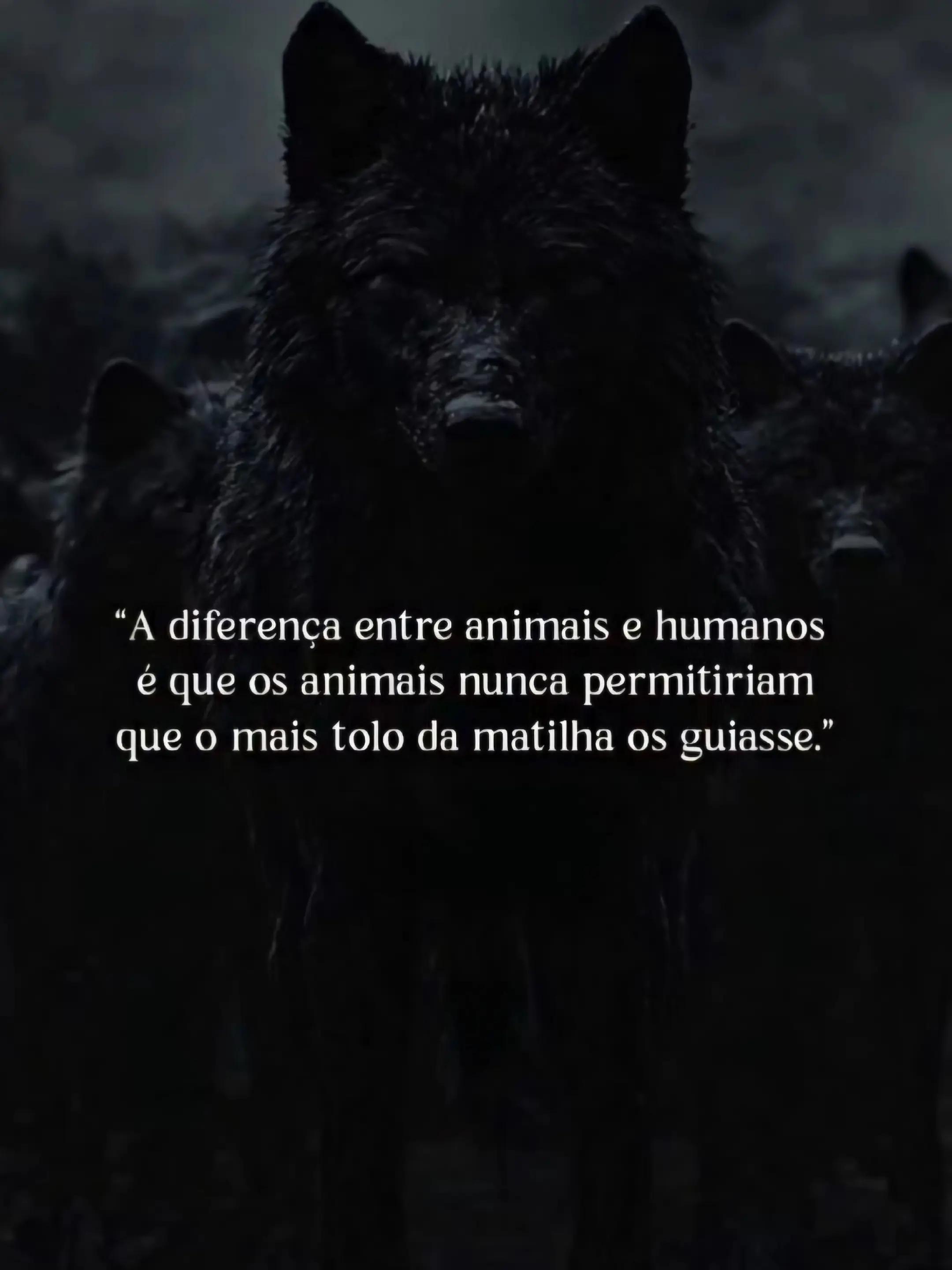 @Carlos Renato Barbosa Kumagae
