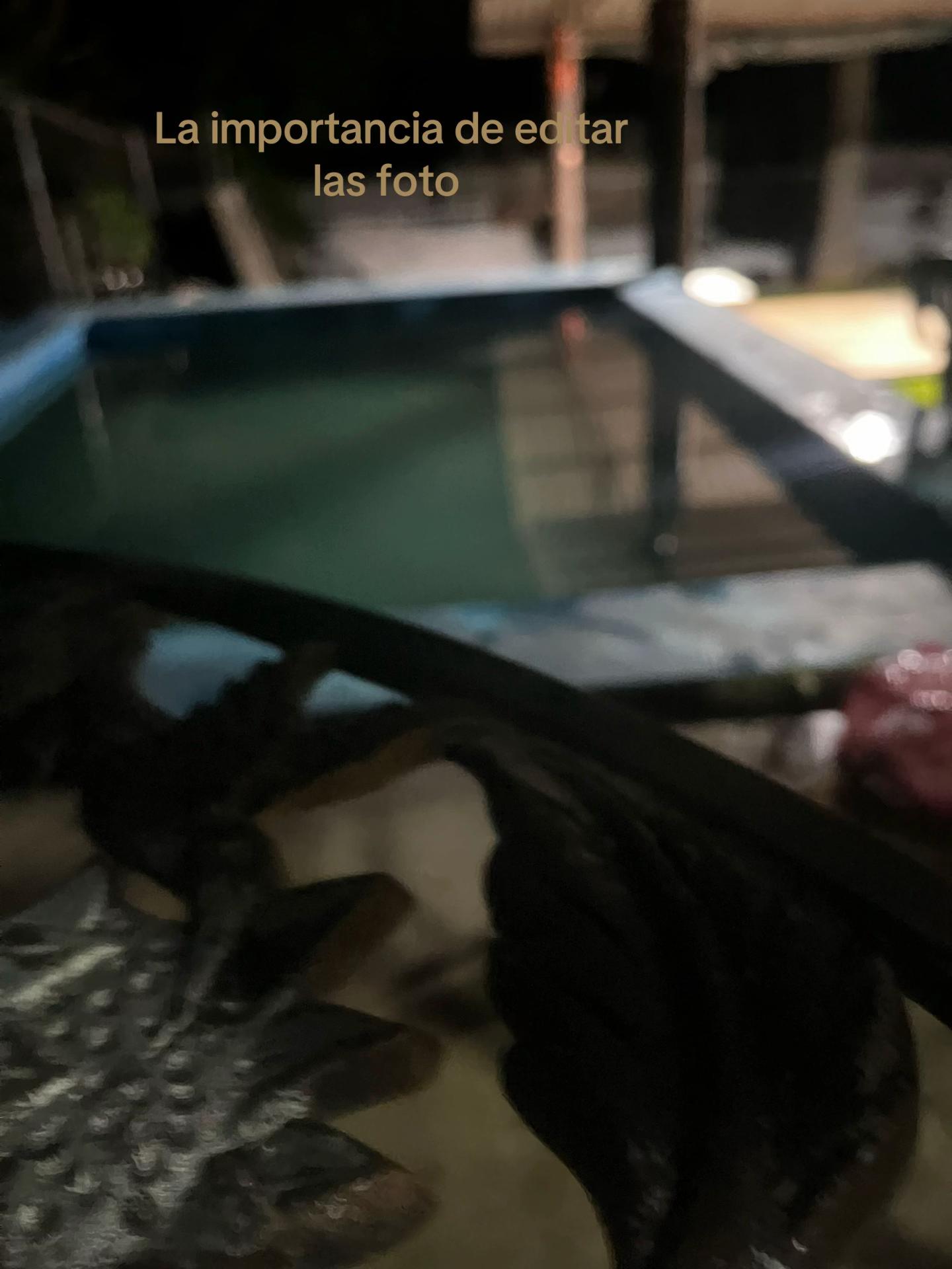 @🦇