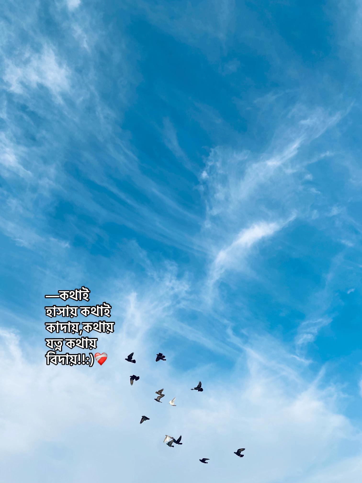 @⏳𝐒𝐡𝐚𝐝𝐨𝐰𝐗𝐞𝐧_ 🚩