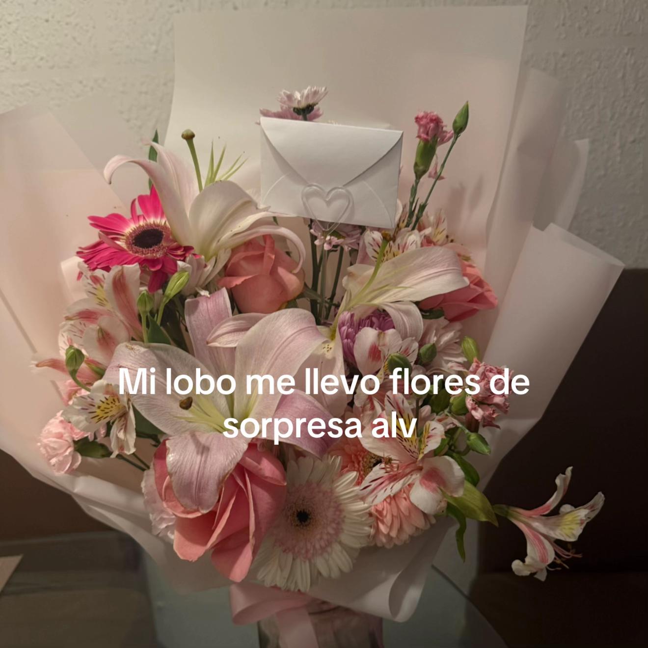 @ᓚᘏᗢ
