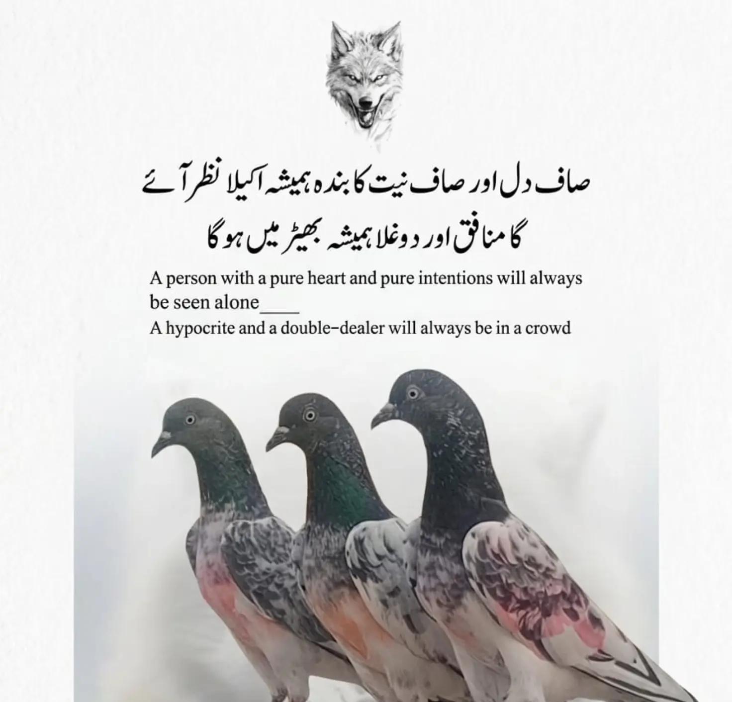 @⚜️علی رضا ⚜️