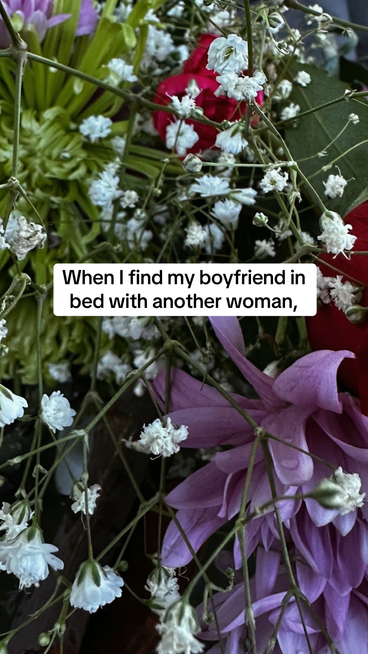 @AuthorNixieFinn