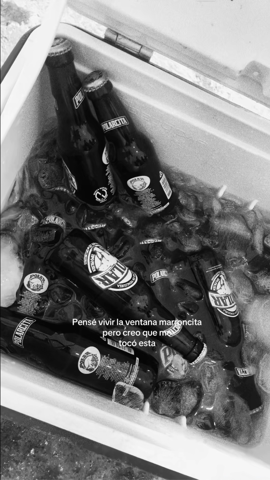 @Alejandra 🍀