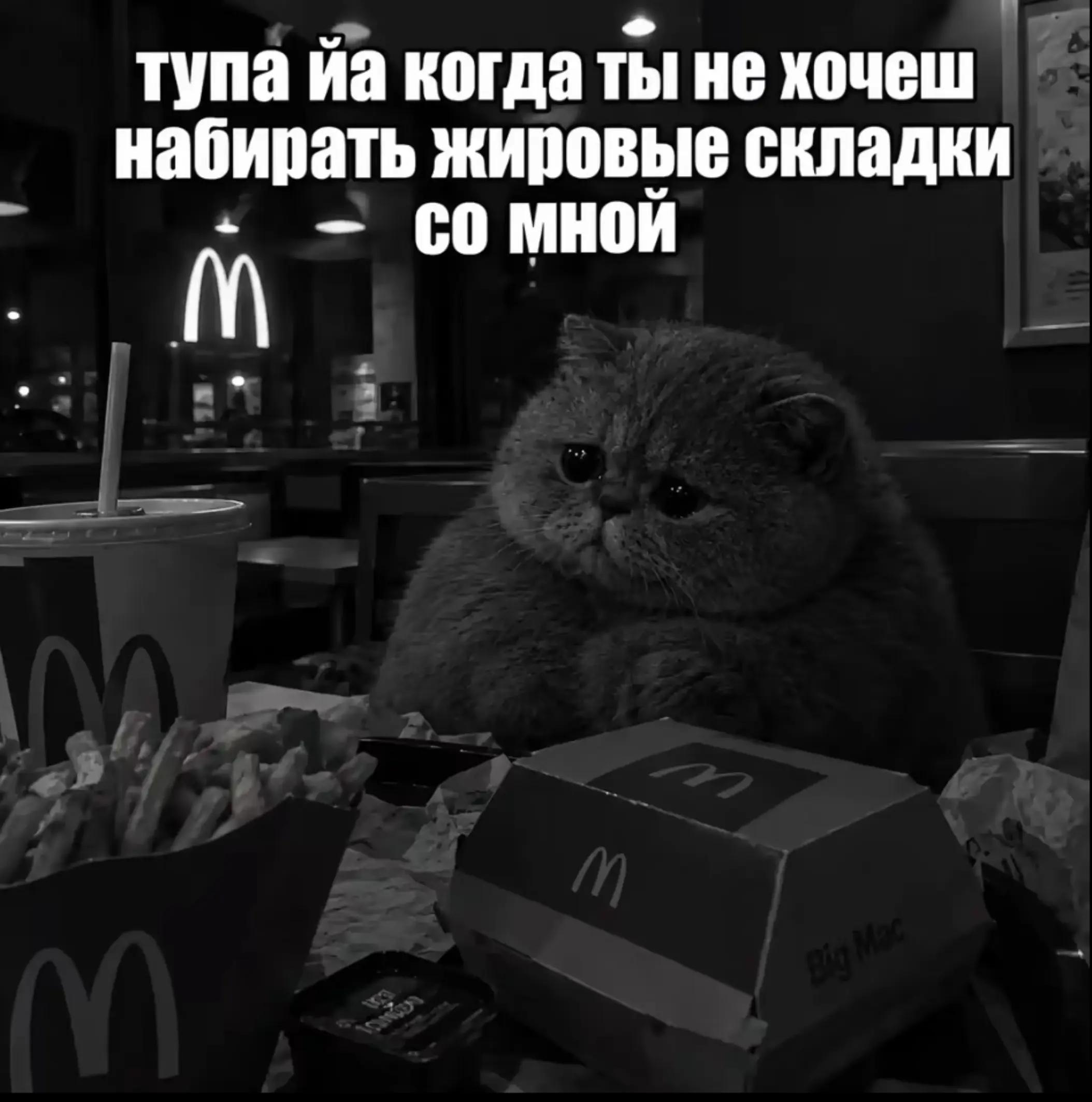 @neclix🪽