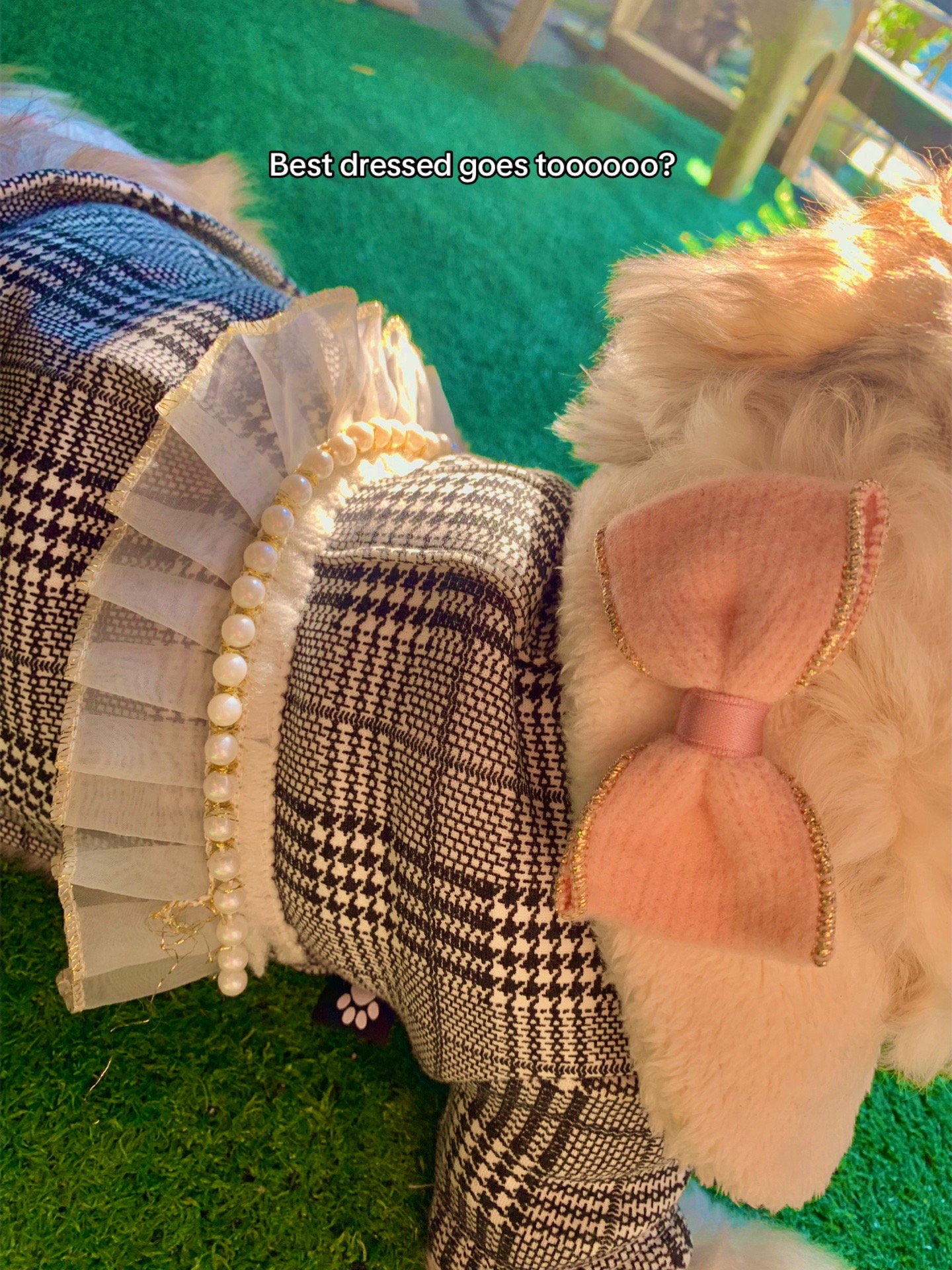 @D.LULU'S COLLECTION 🌹