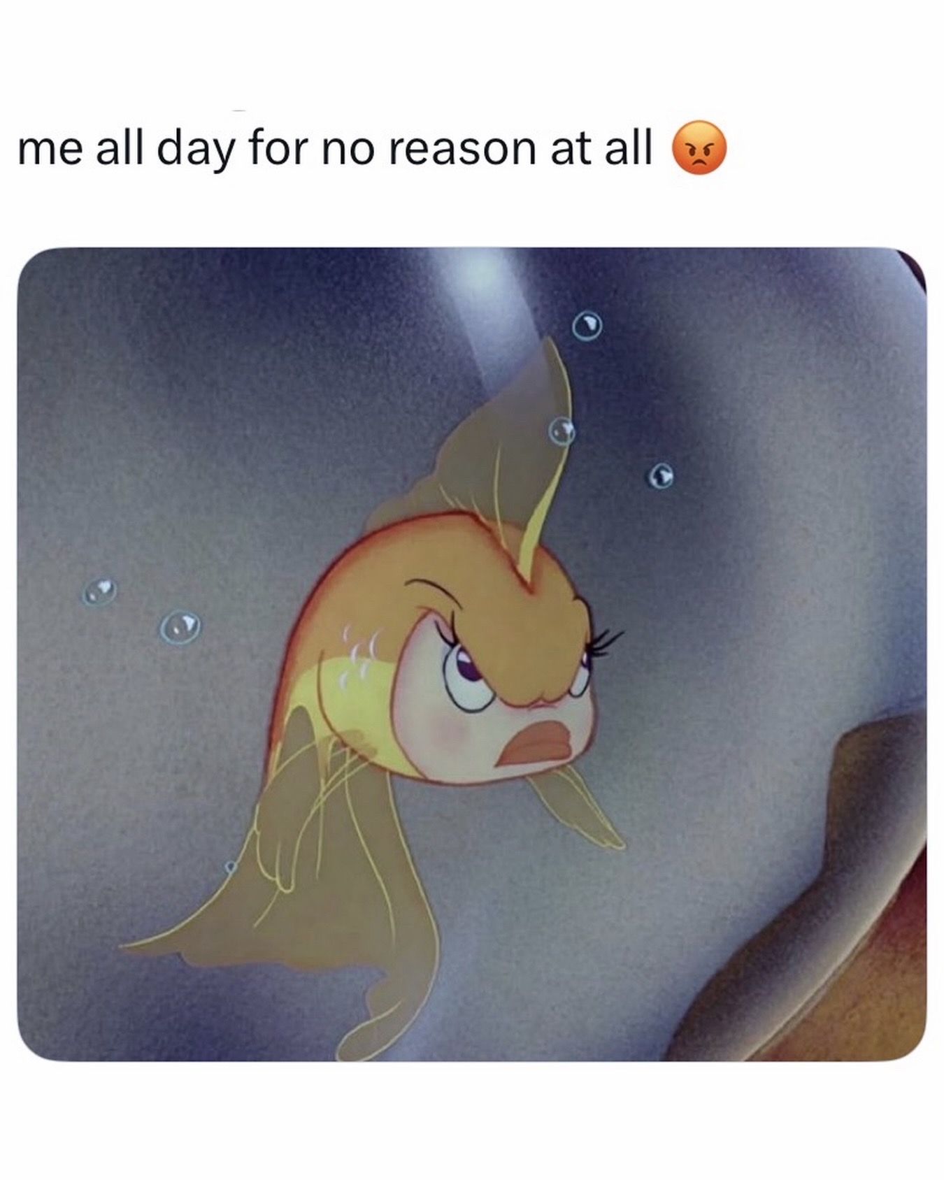 @females