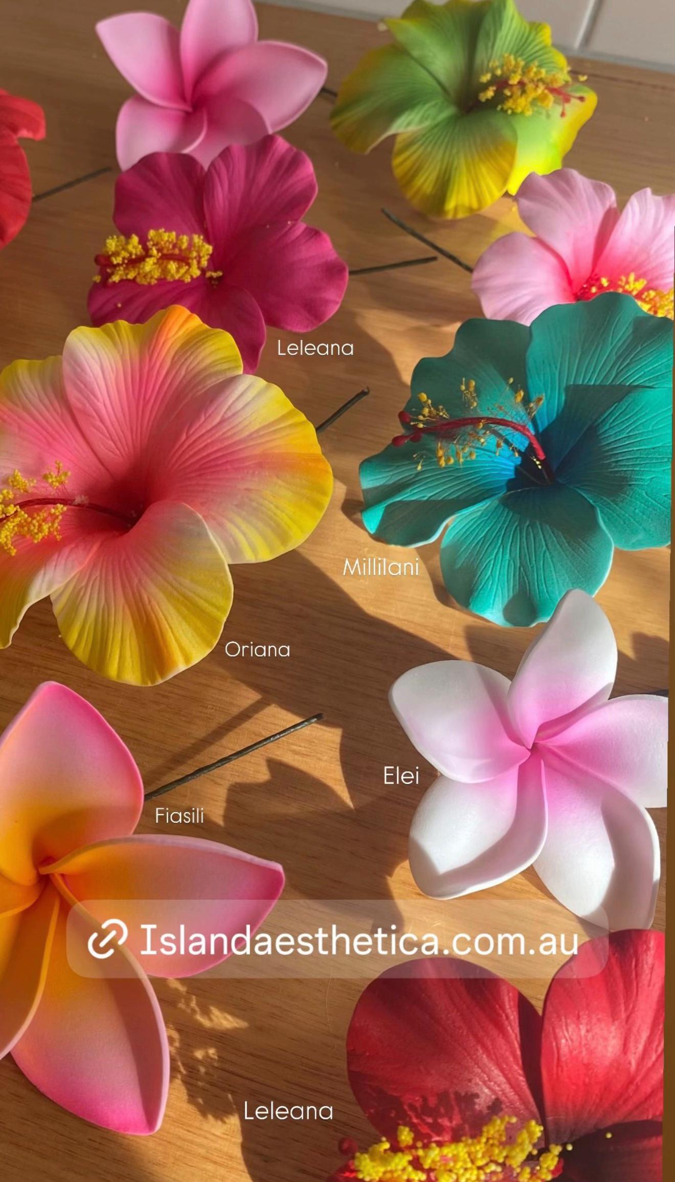 @Island Aesthetica 🌺 Pasifika