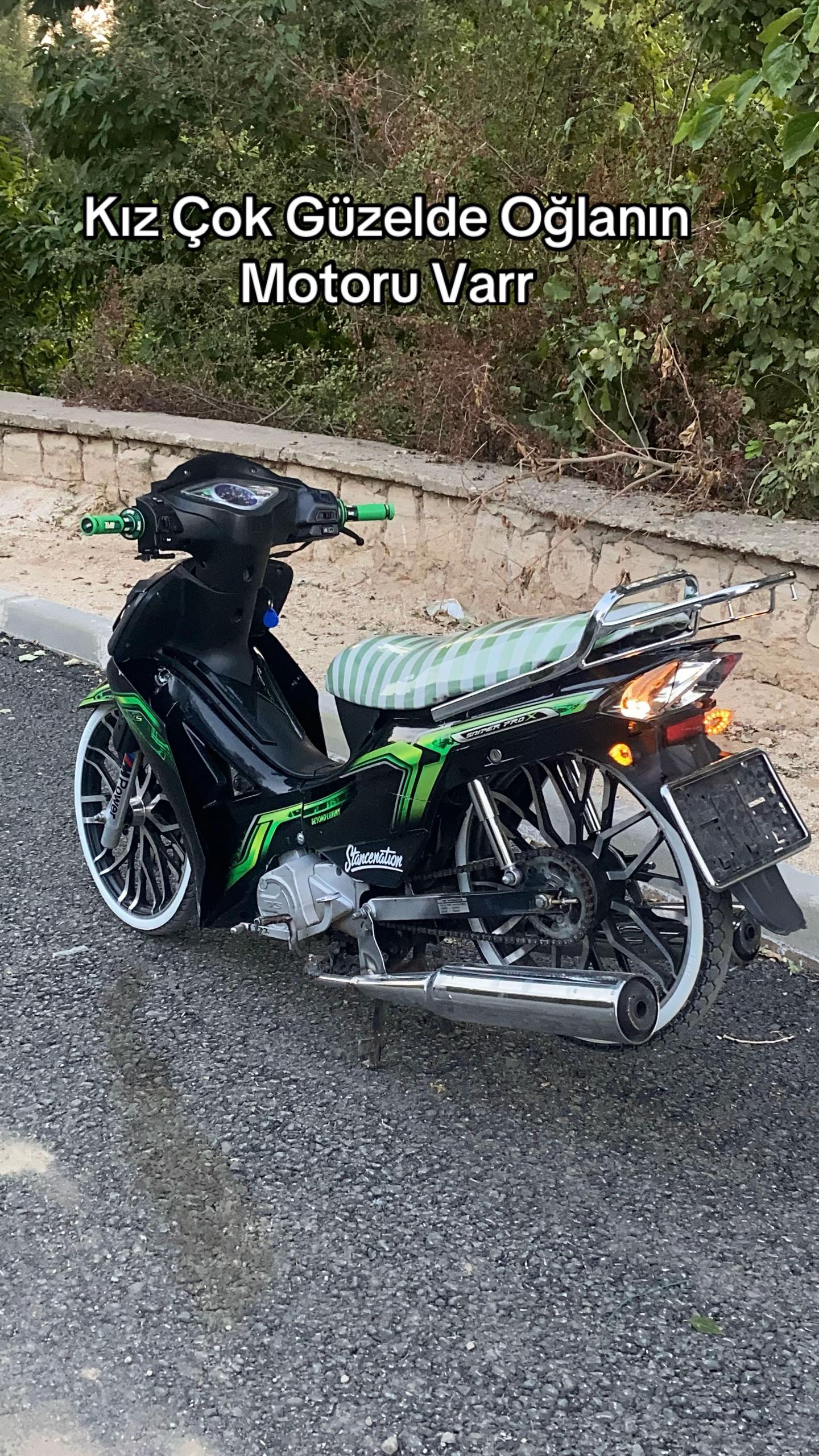 @Kütükk🐊