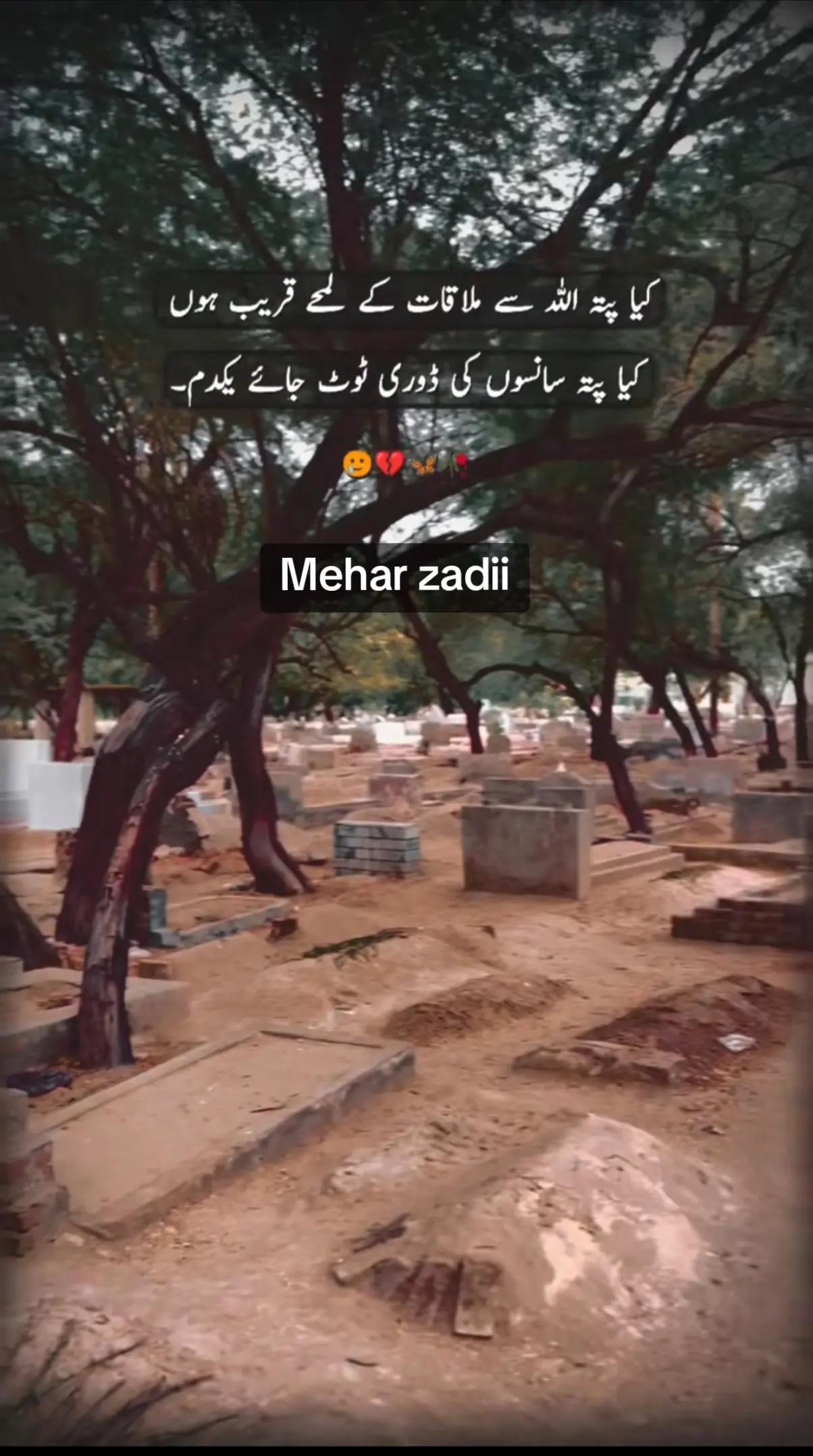 @Mehar Zadi 🖇️🤞🏻