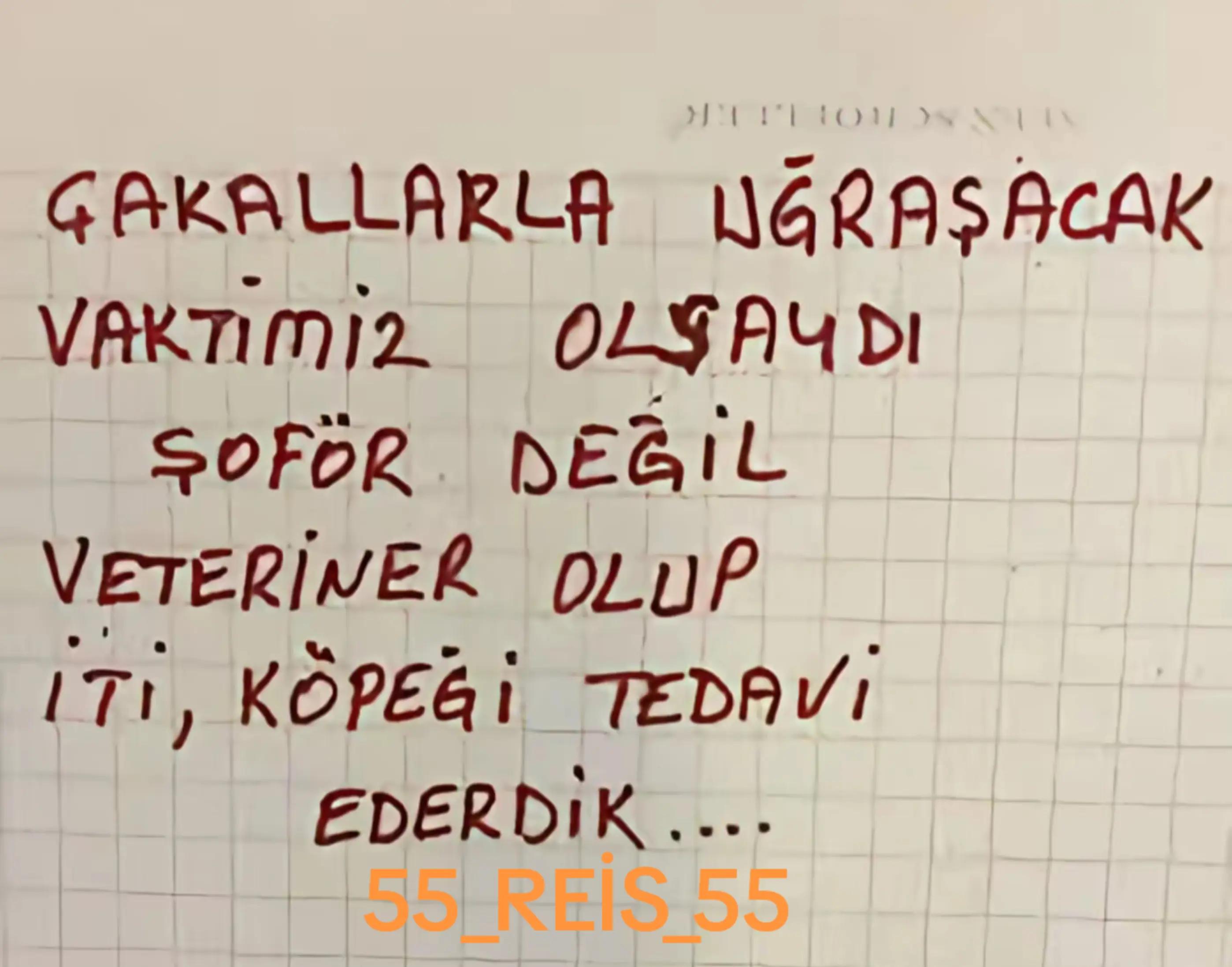 @55_REİS_55
