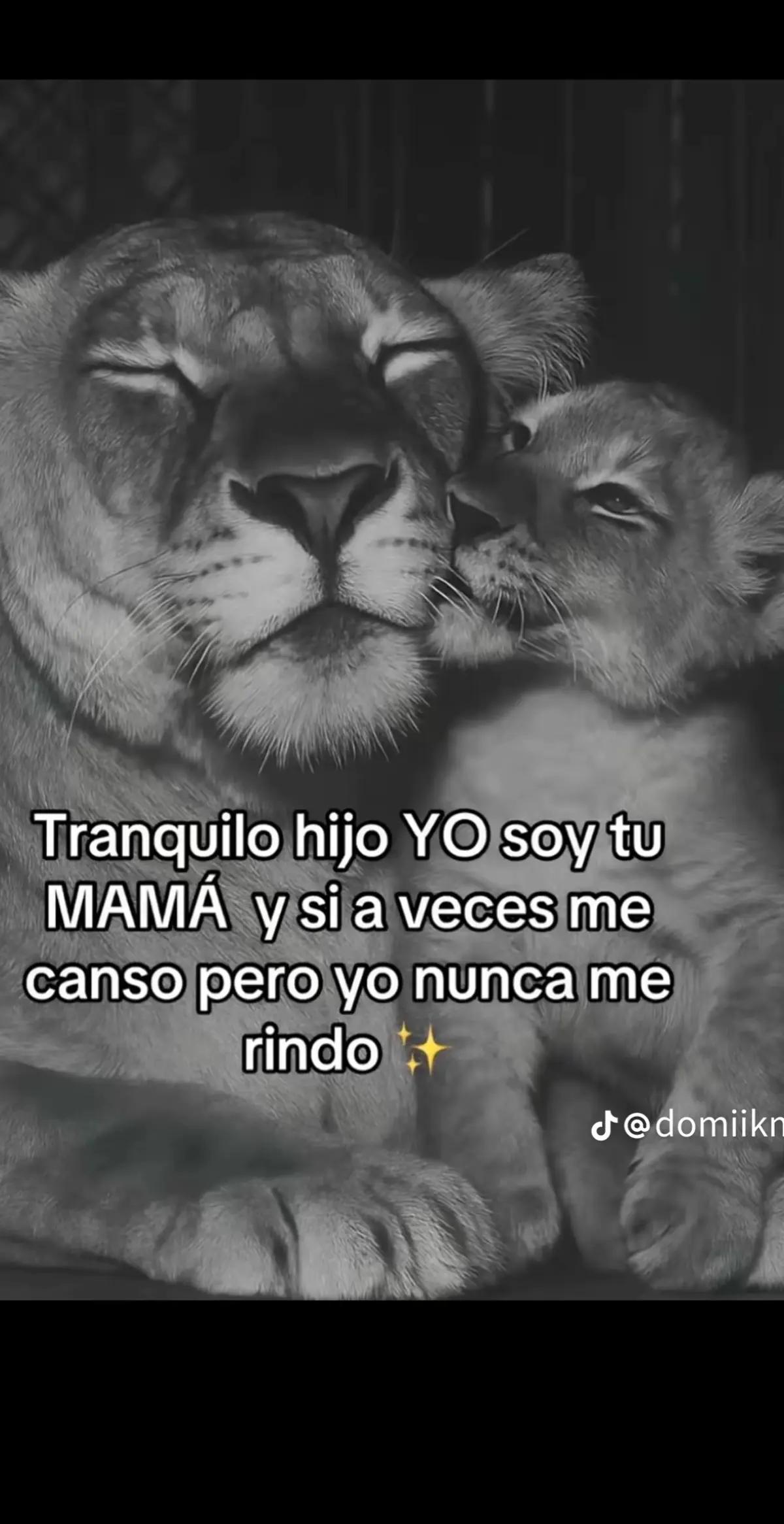 @Rossy De Mendoza🥰