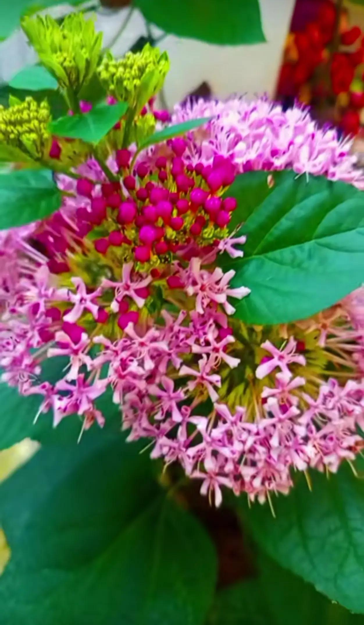 @Aylin