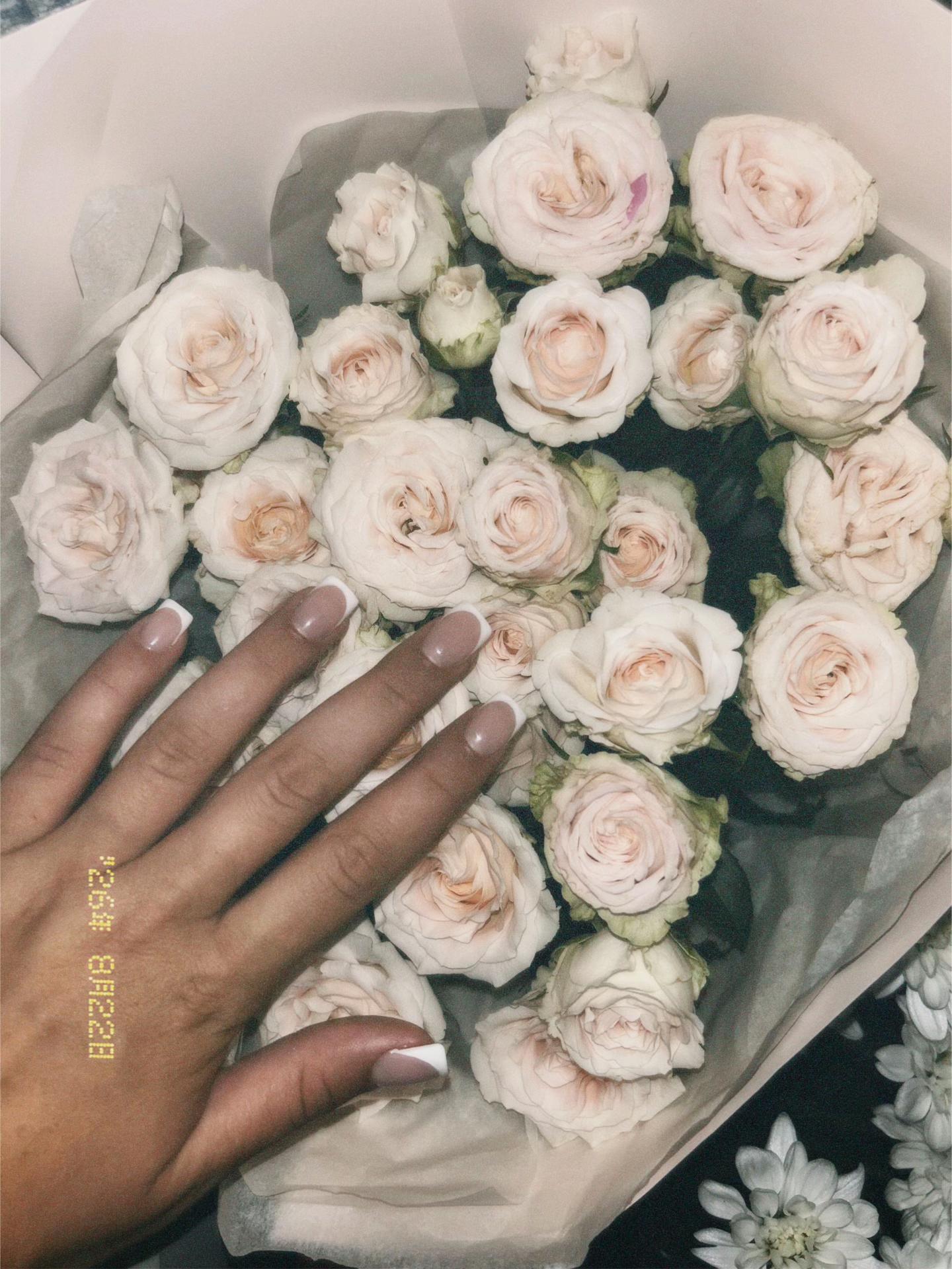 @olvyywwer⚜️