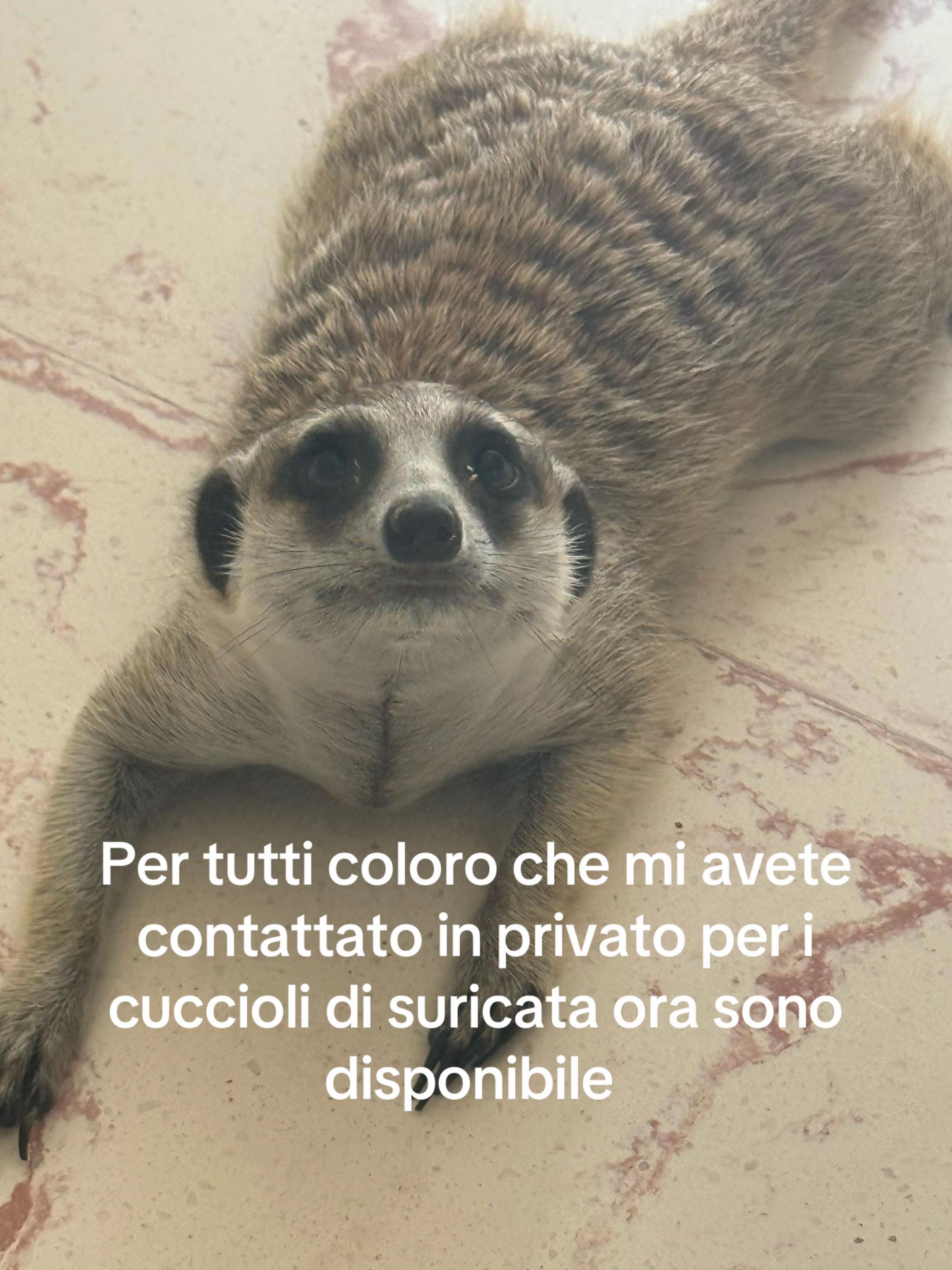 @agata17303