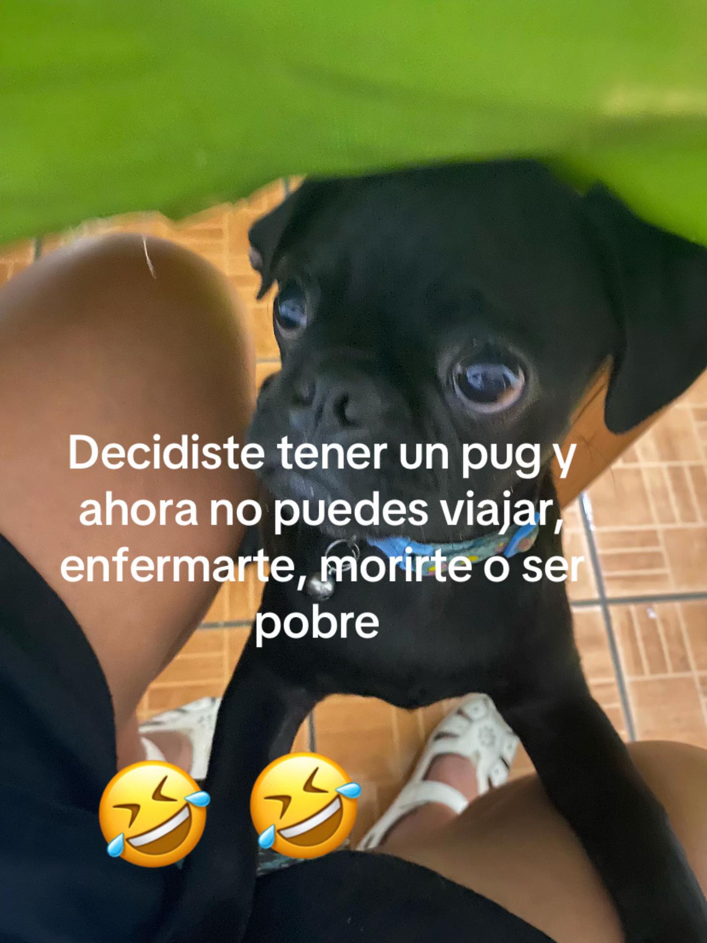 @zeri_065
