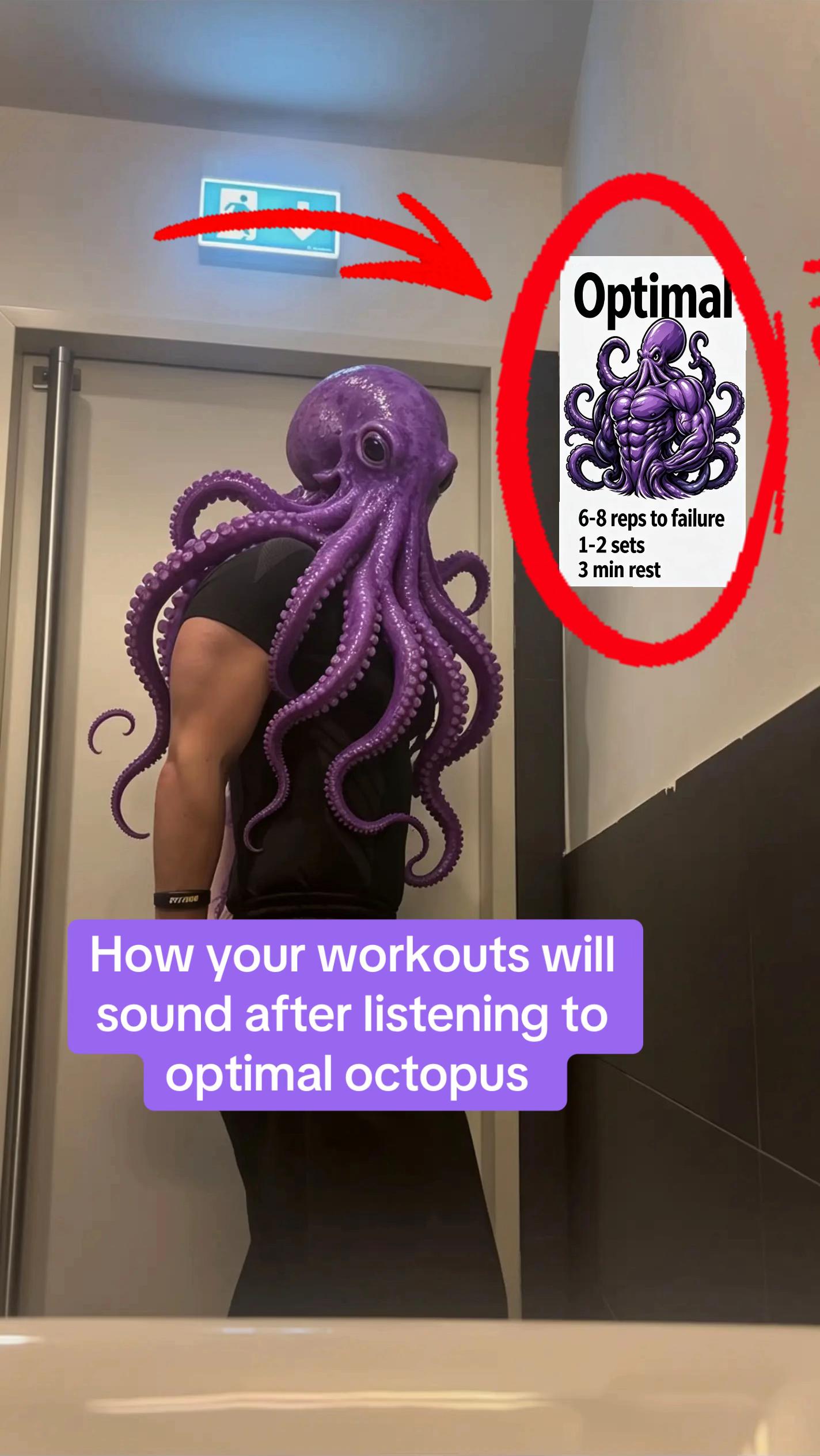@Optimal Octopus