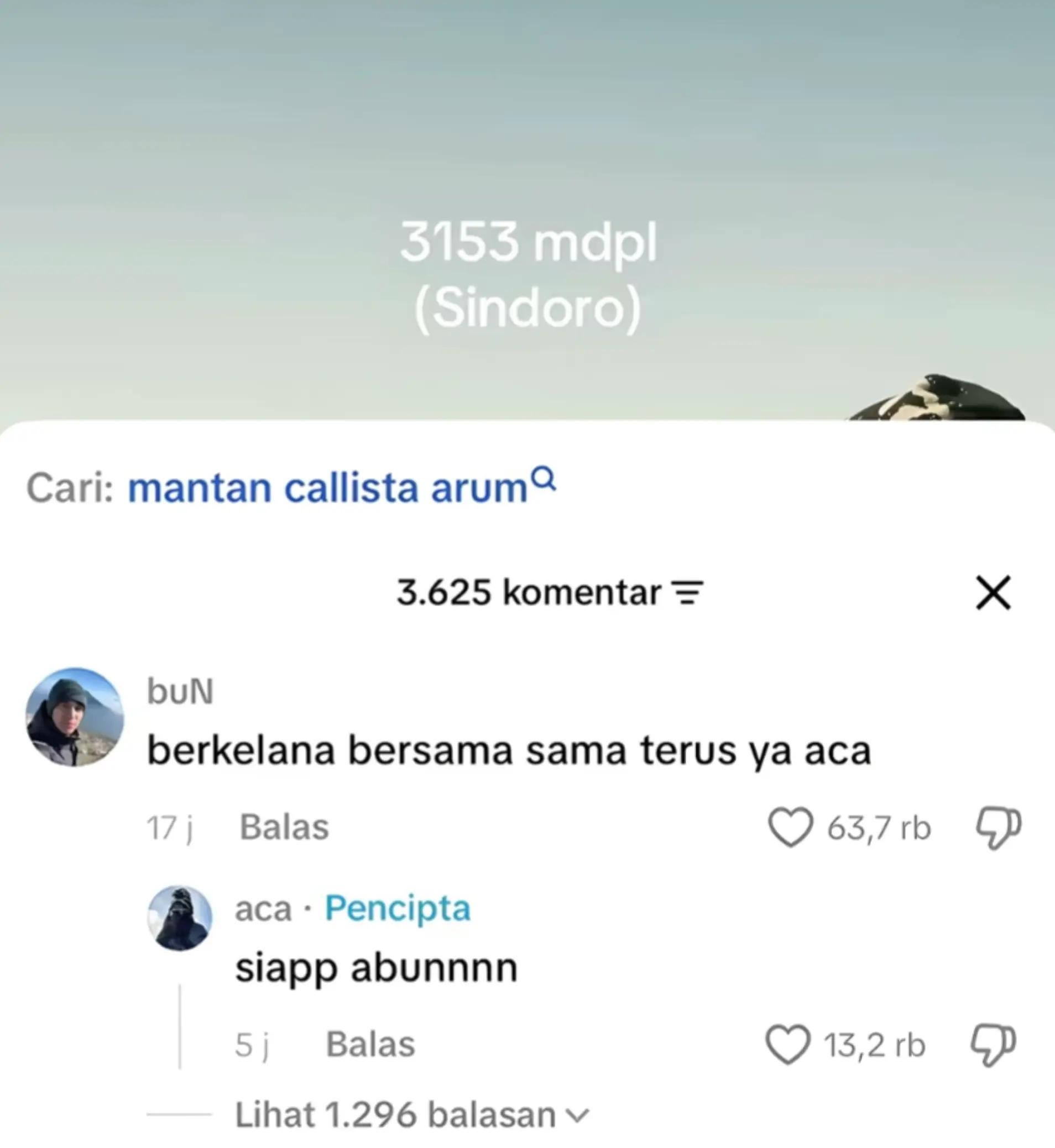@verinn