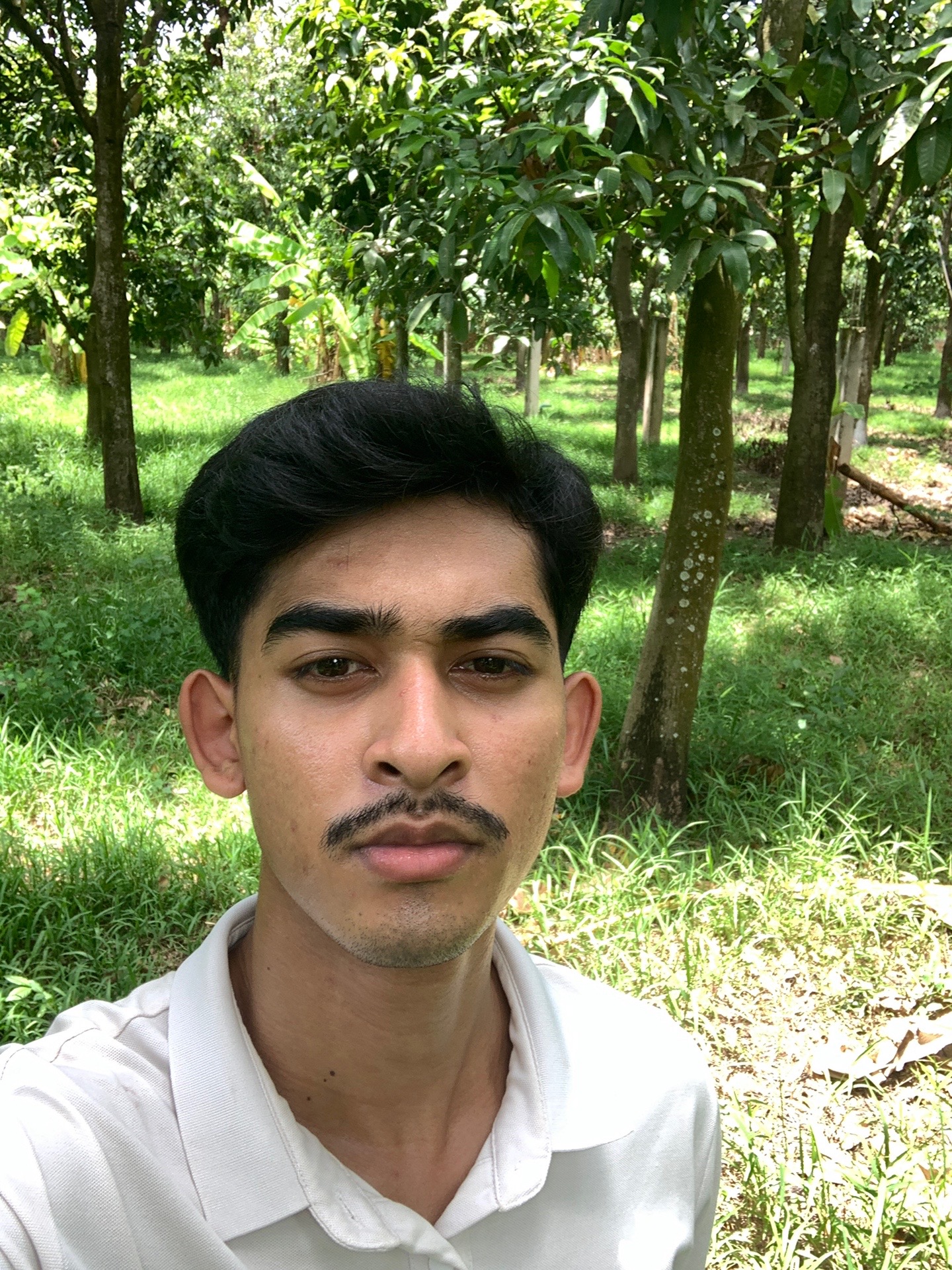 @តុង-Tong