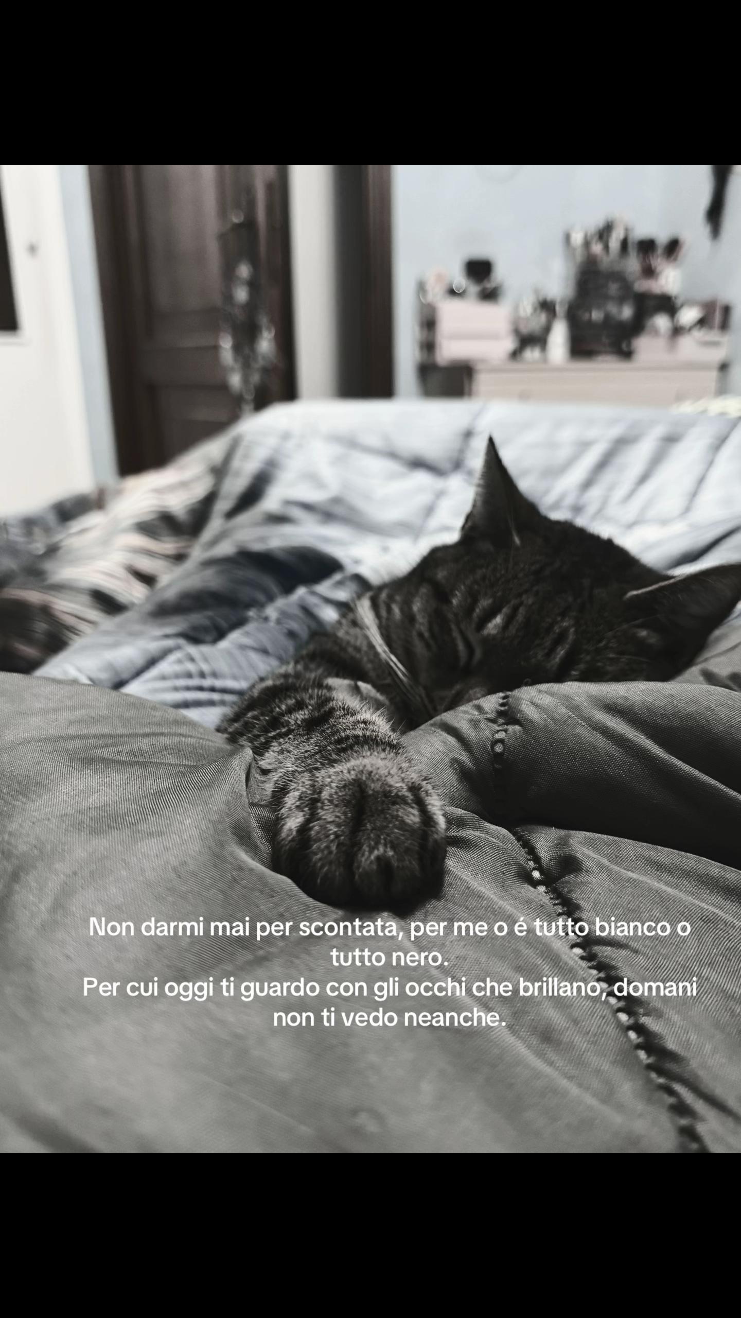@Mariacristinaperoni