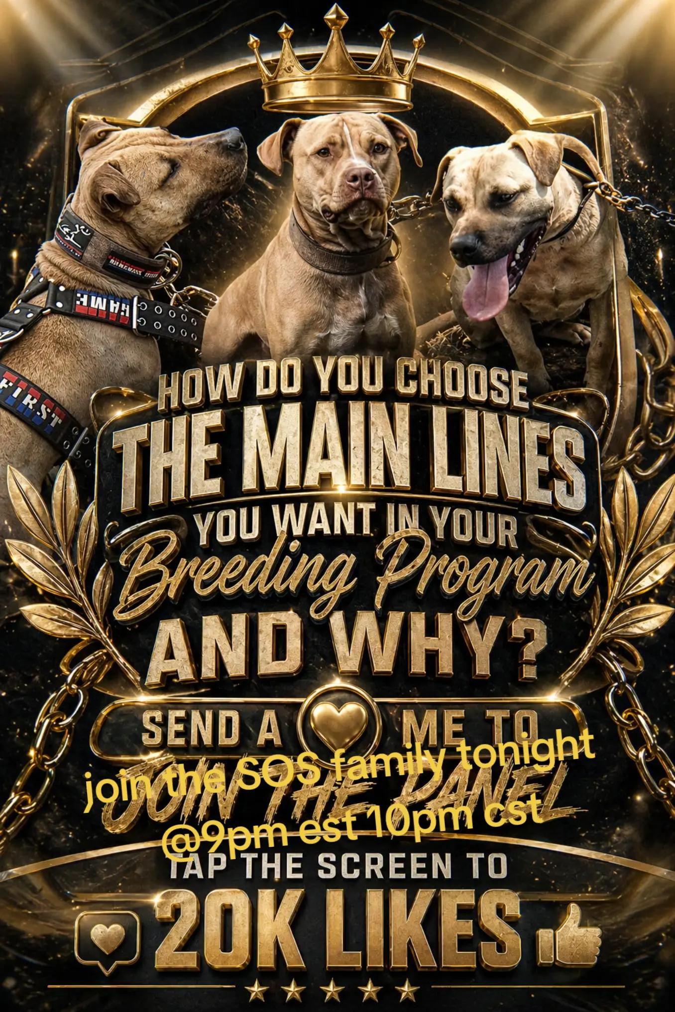 @🆘️oldsoul kennels💪🏼💯🔥🆘️
