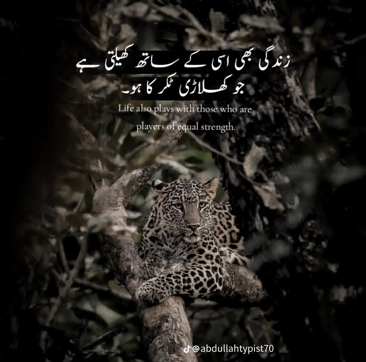 @usama hu yaar❤️🔥😜🤪