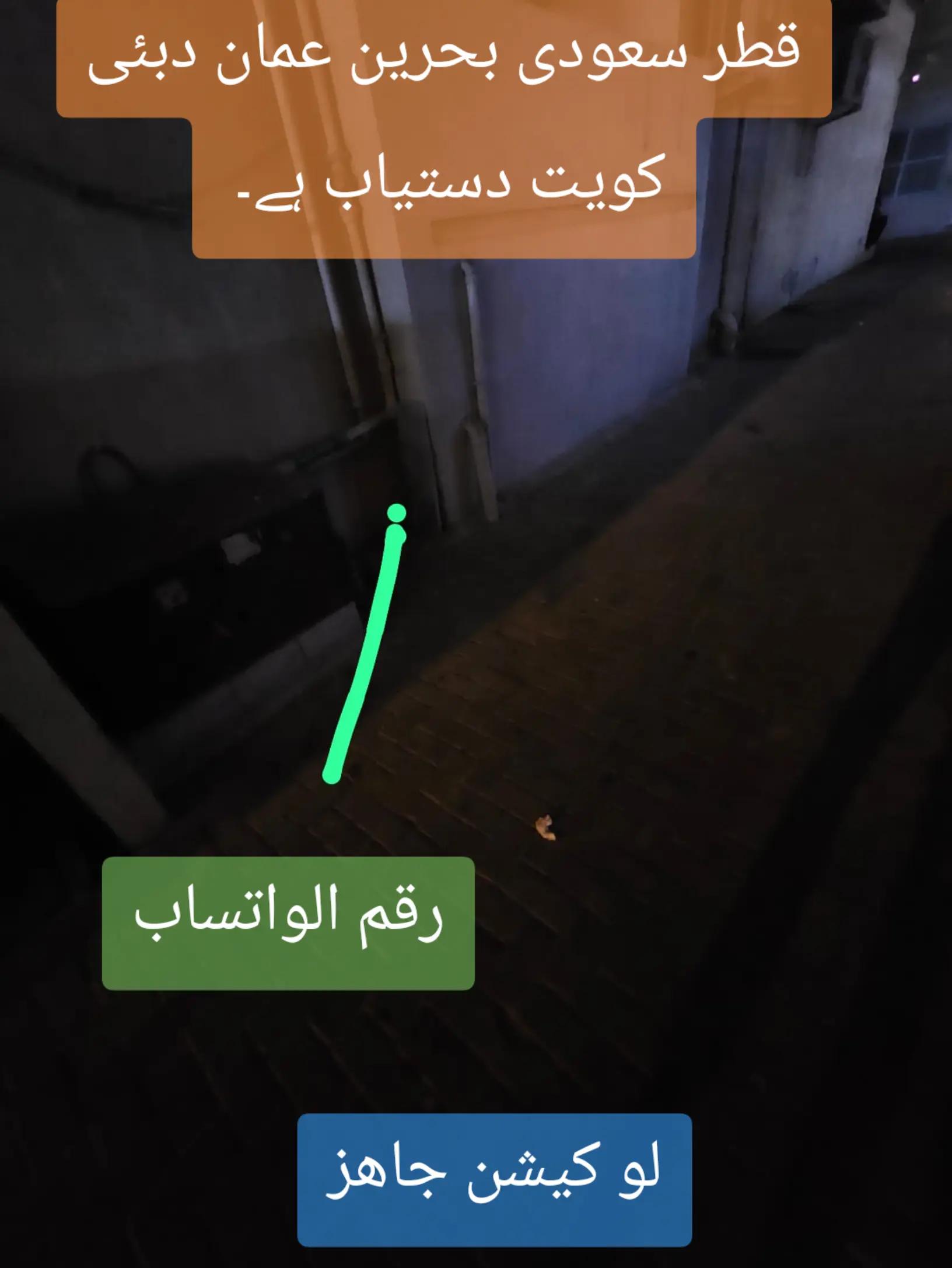 @محمد قاسم