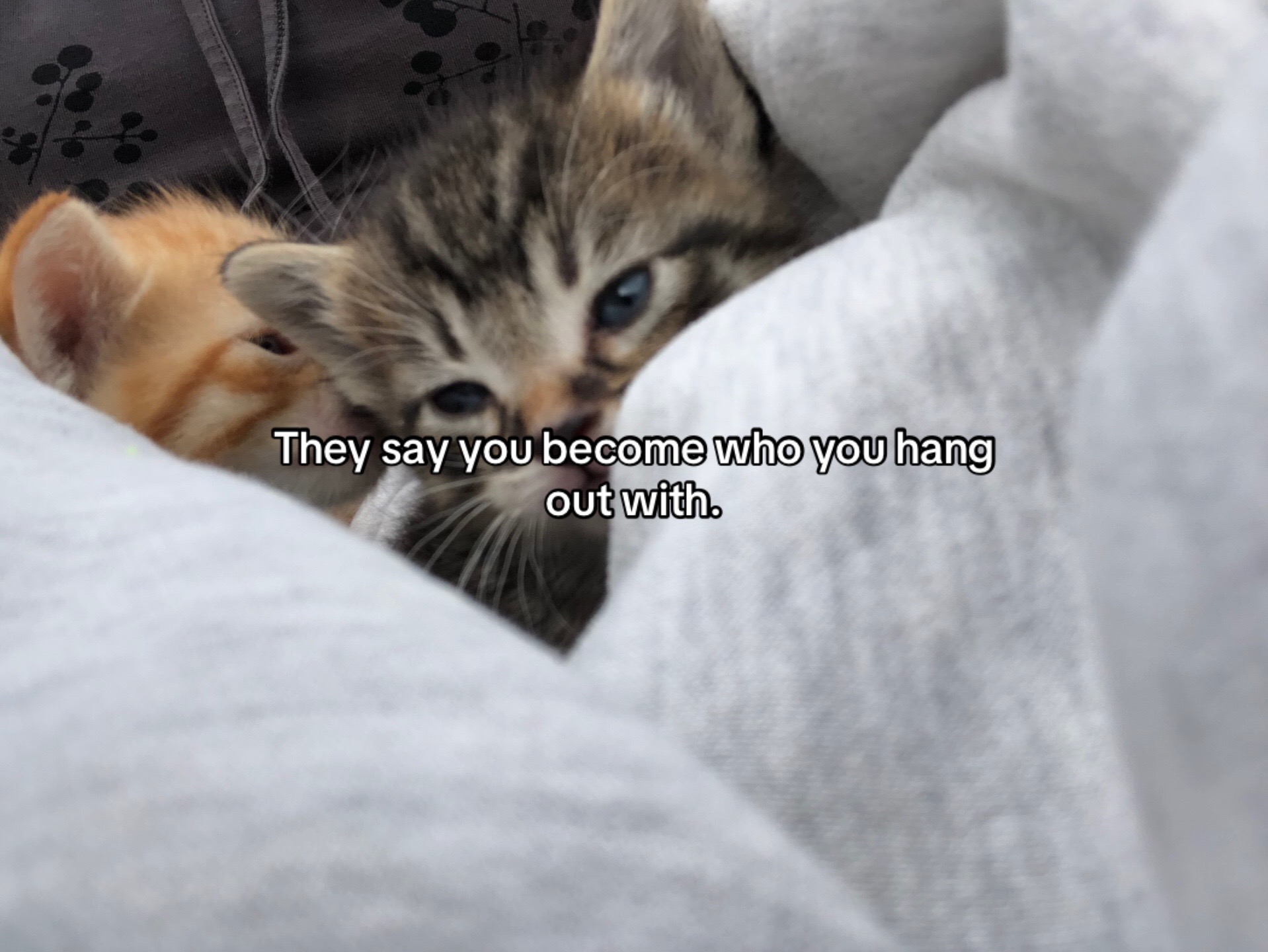 @💗