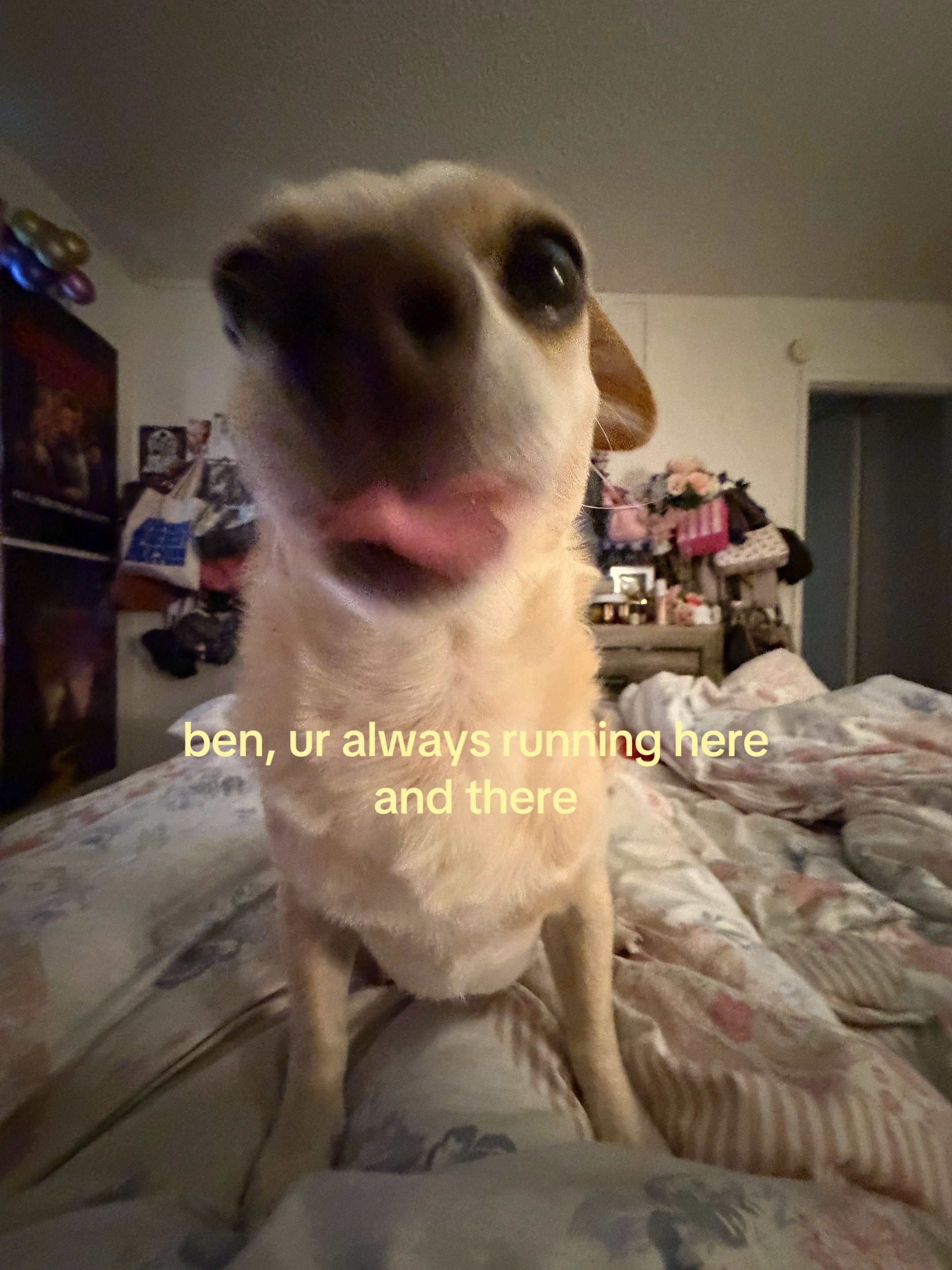 @alli 🪽
