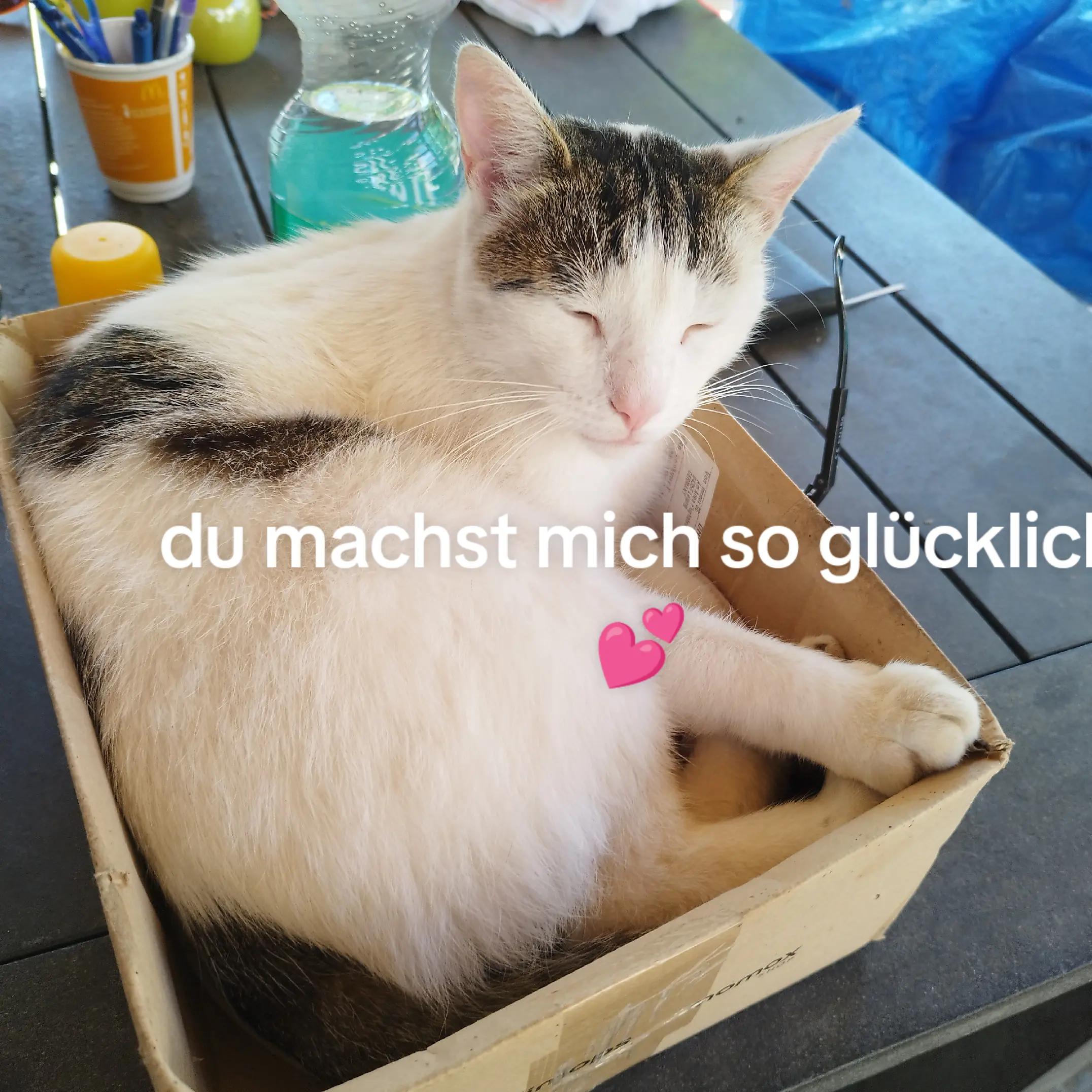 @Lisa