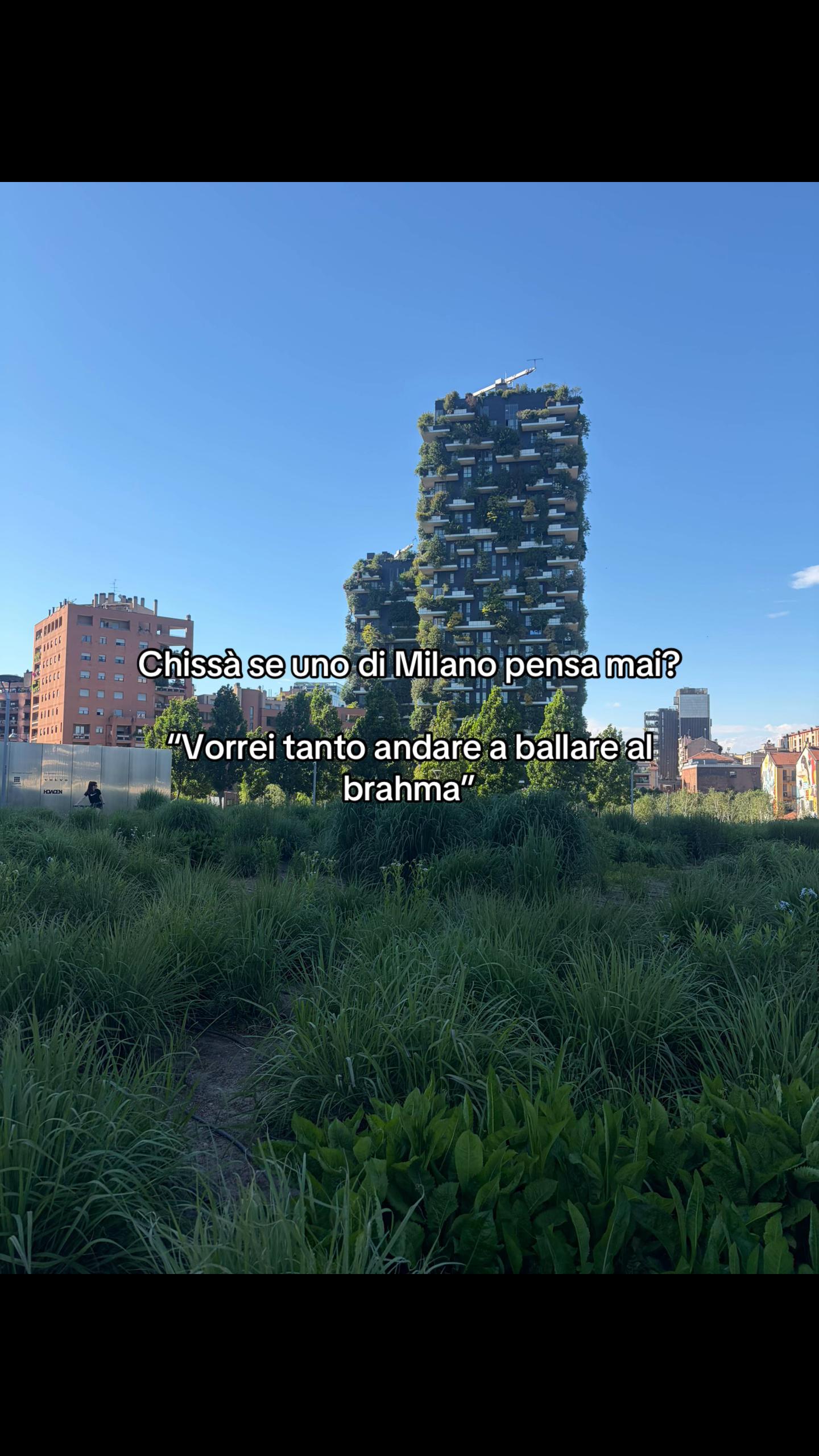 @Elisa 🕊️