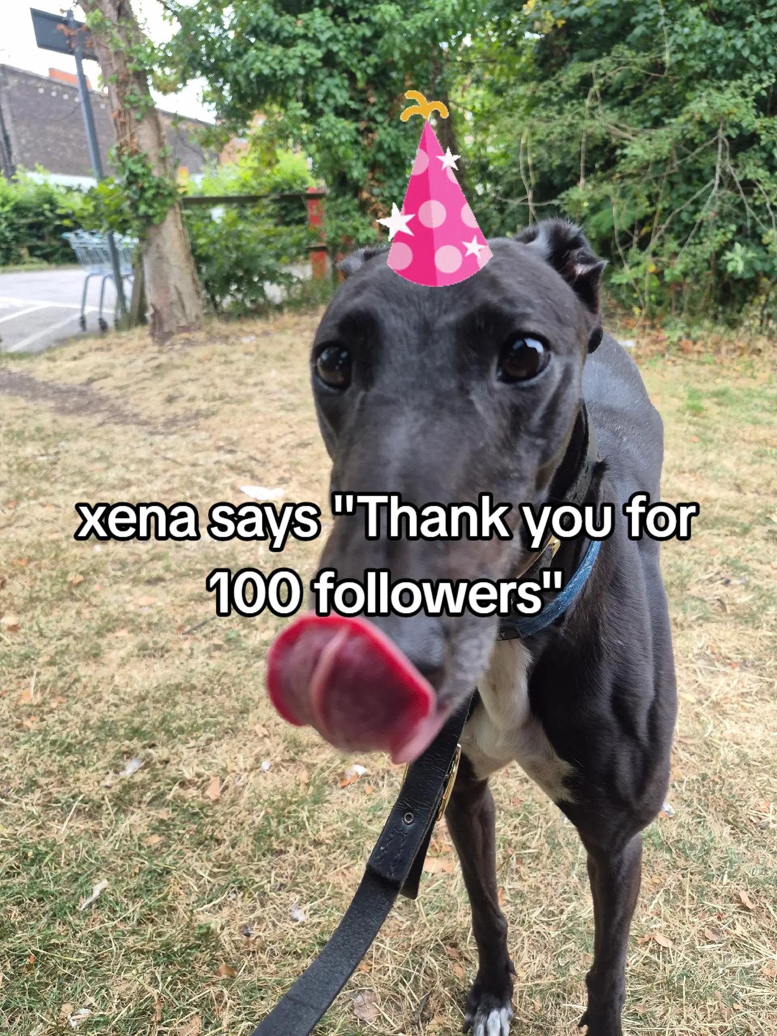 @xena