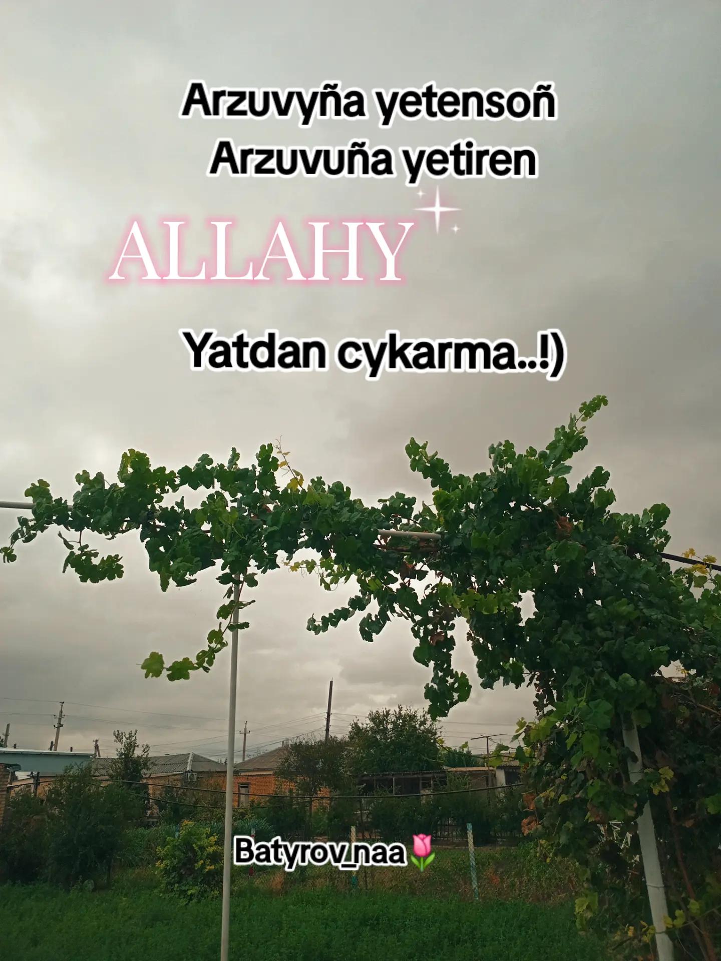 @Batyrov_naa🌷