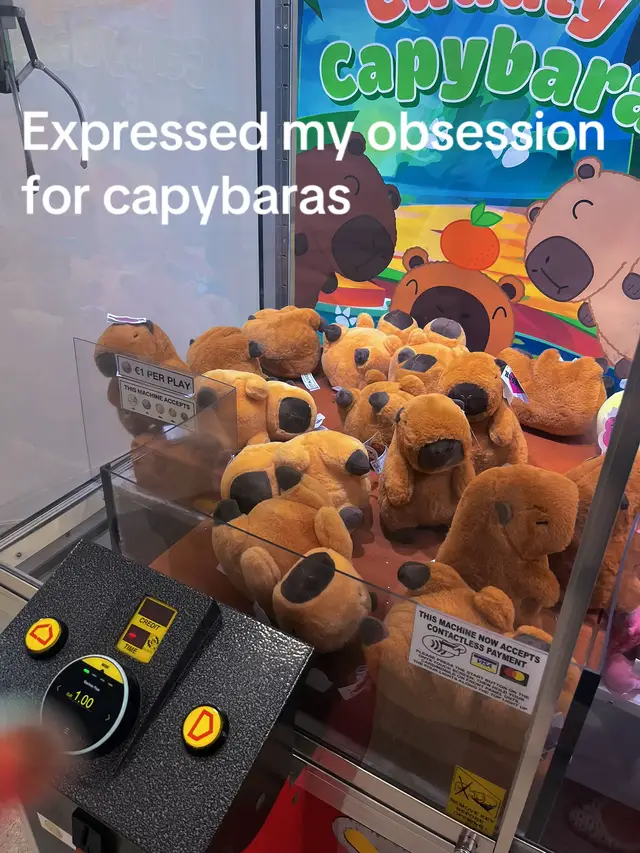 @♱ ɢᴏᴅꜱ ᴡᴀʀʀɪᴏʀ ♱